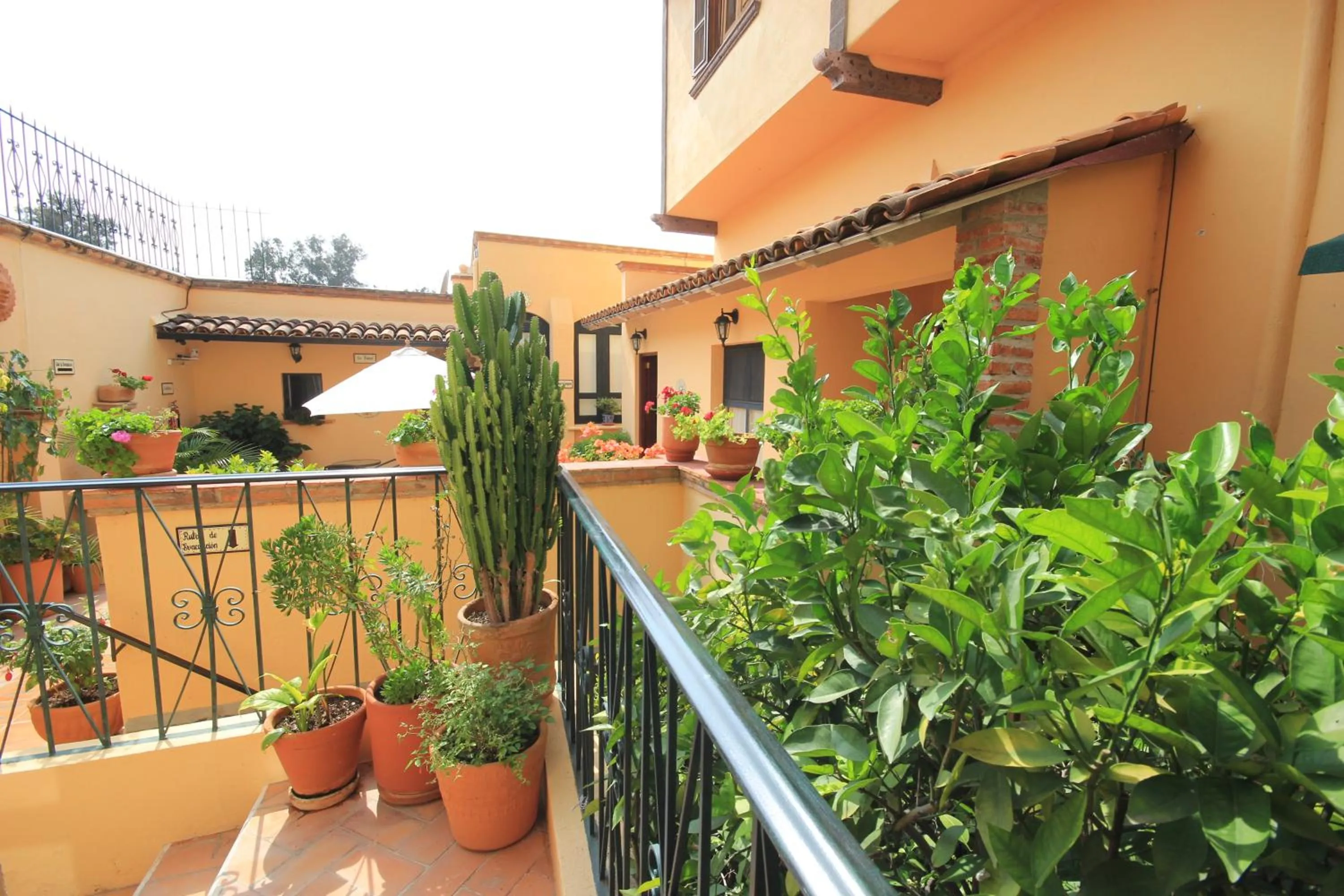 Patio in Villa Mirasol