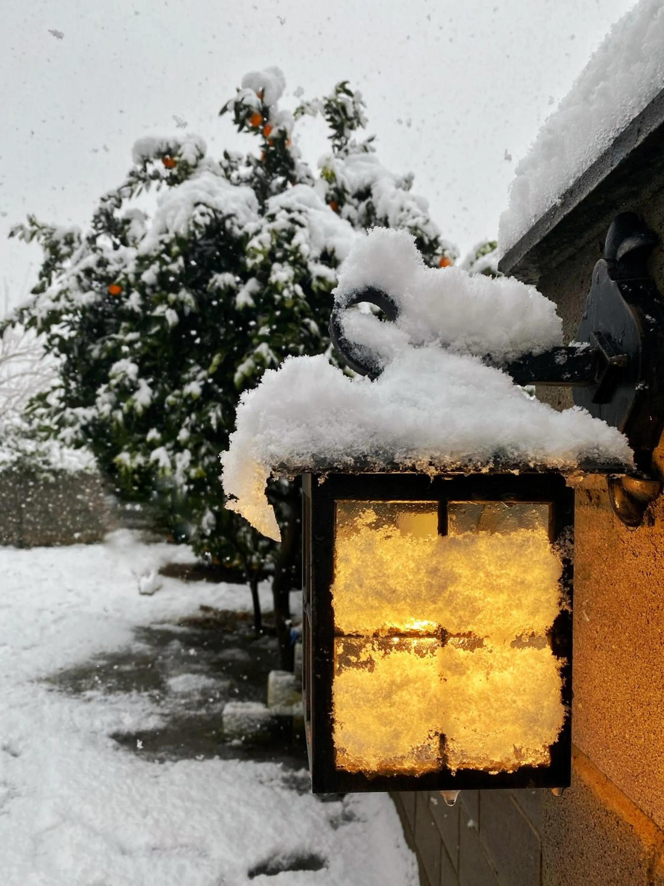 Winter in Hotel Orange Kutaisi