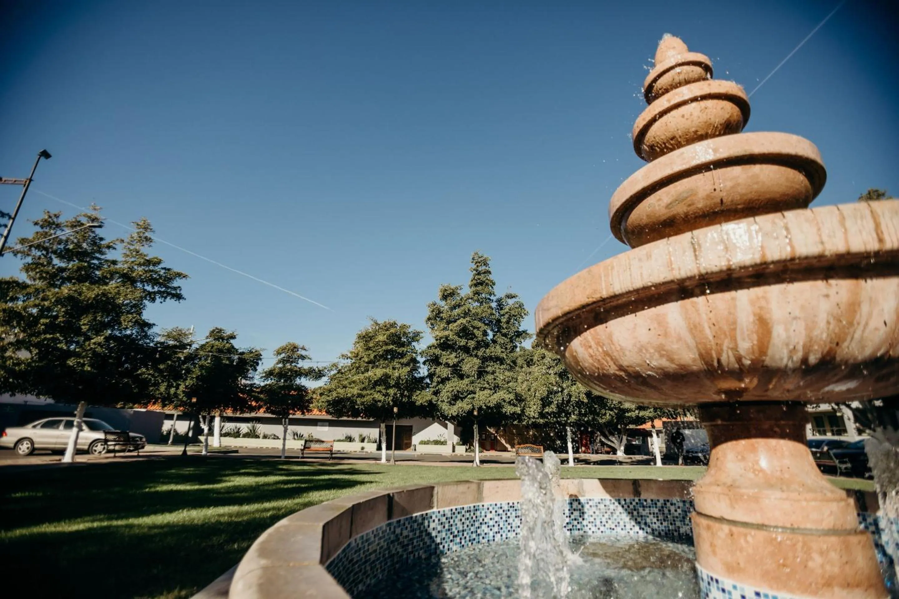 Garden in Hotel Calafia