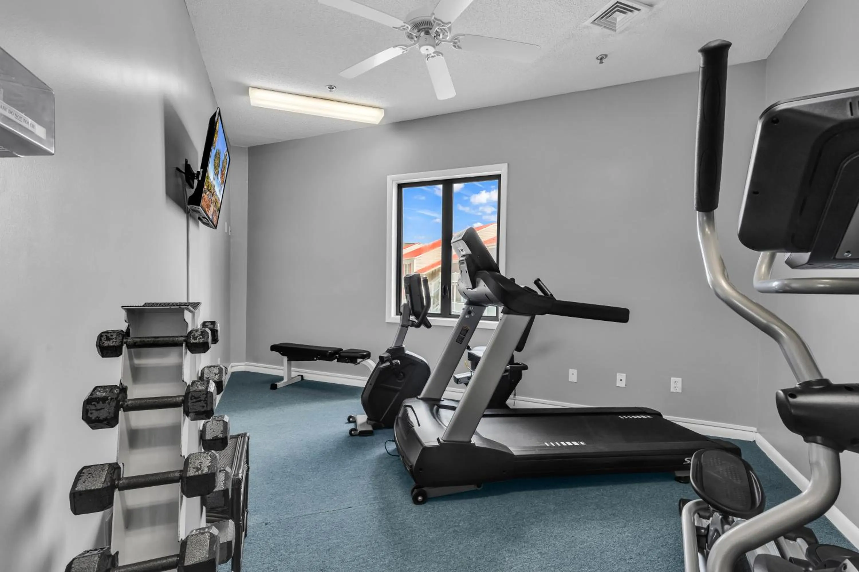 TV and multimedia in A Place at the Beach