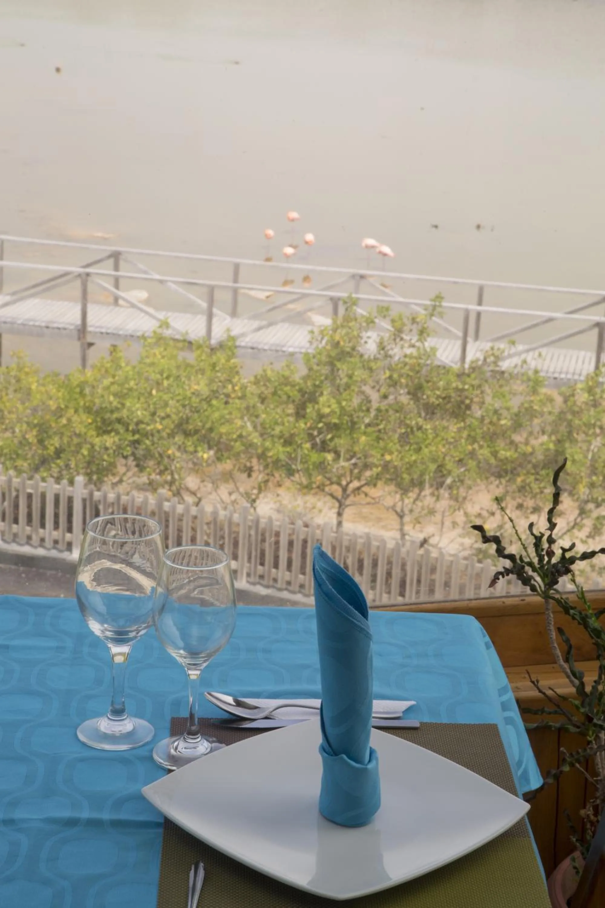 Lake view in Hotel La Laguna Galapagos