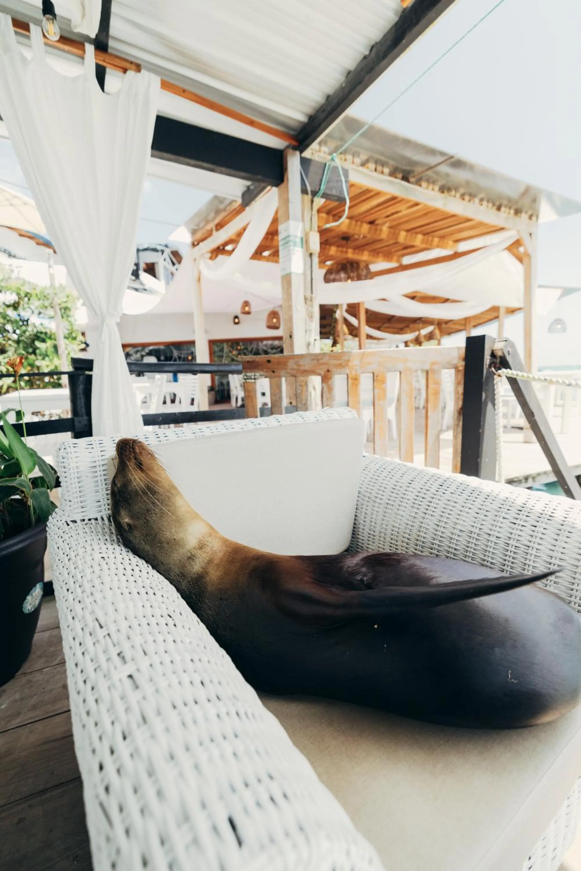 Area and facilities in Blu Galapagos Sustainable Waterfront Lodge