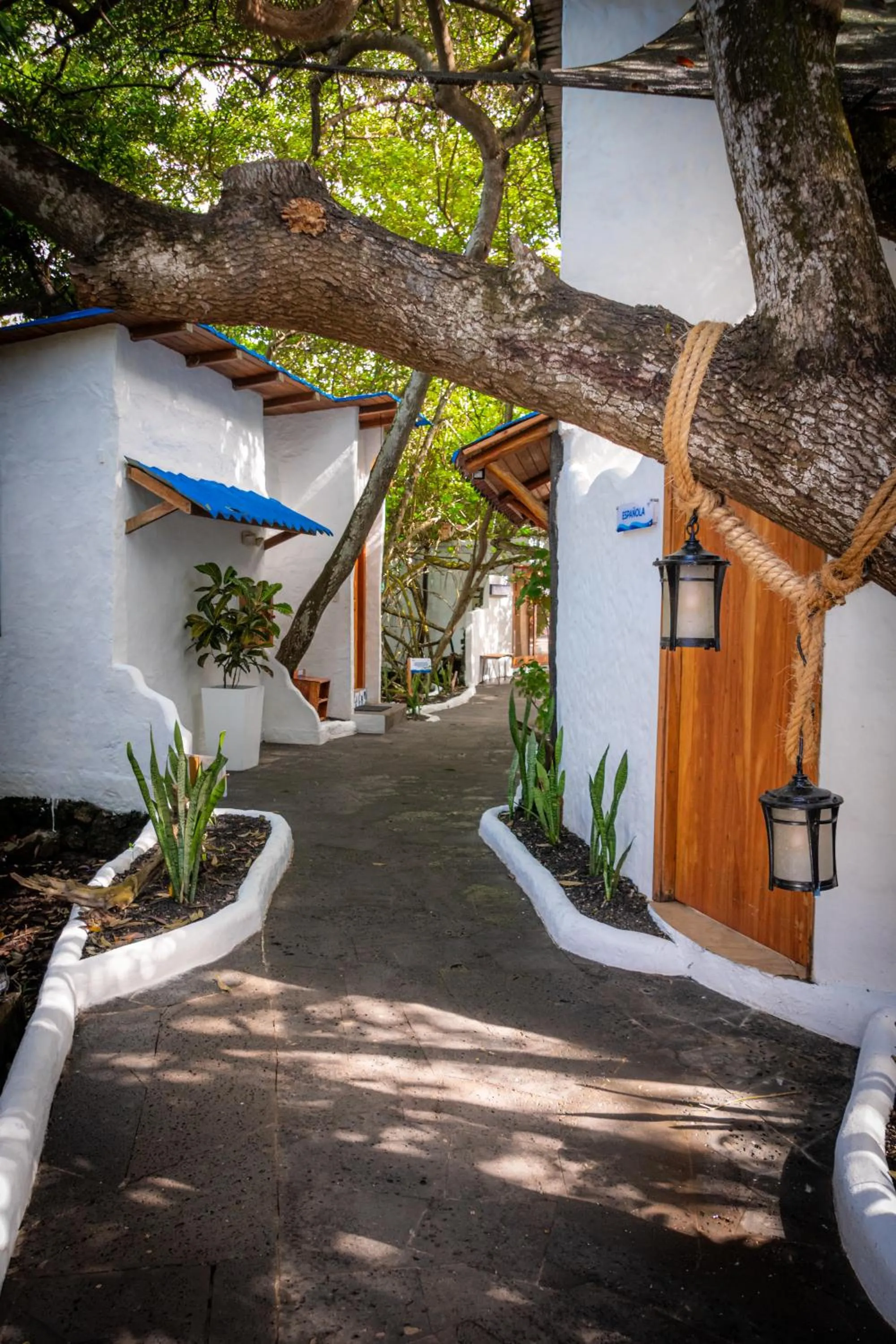 Property building in Blu Galapagos Sustainable Waterfront Lodge