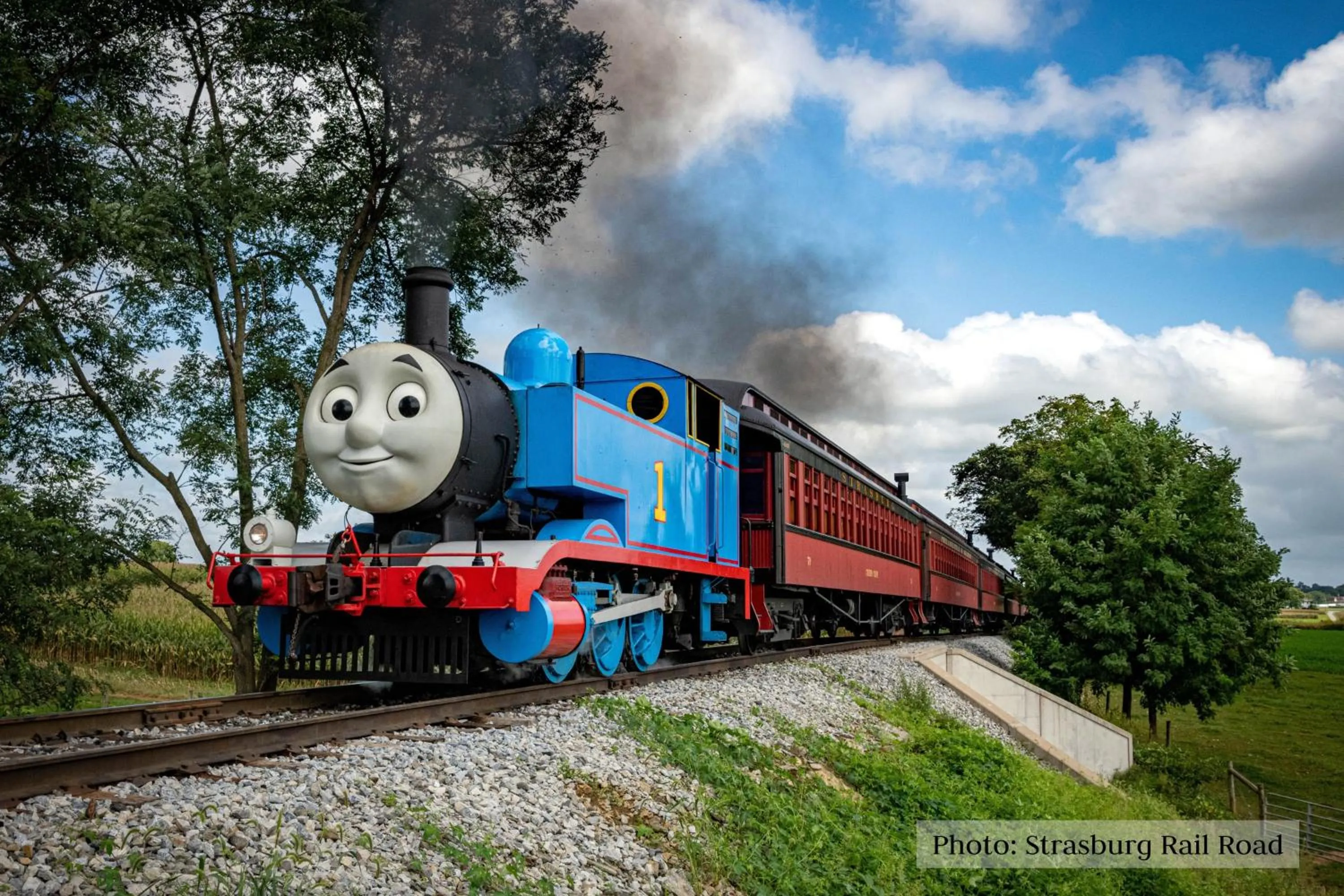 Activities in Eden Resort and Suites, BW Premier Collection