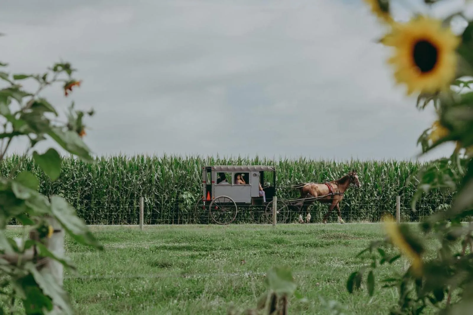 Nearby landmark in Eden Resort and Suites, BW Premier Collection