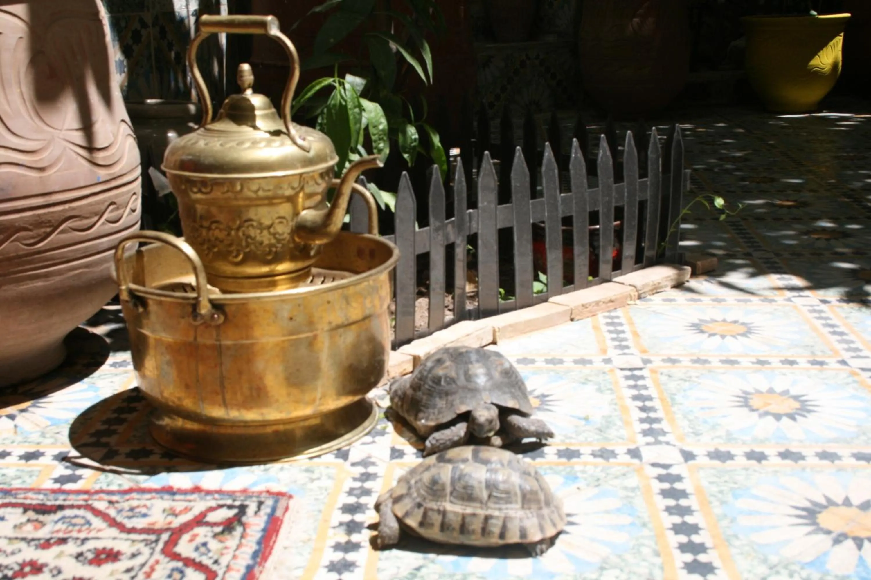 Decorative detail in Riad Lalla Fatima