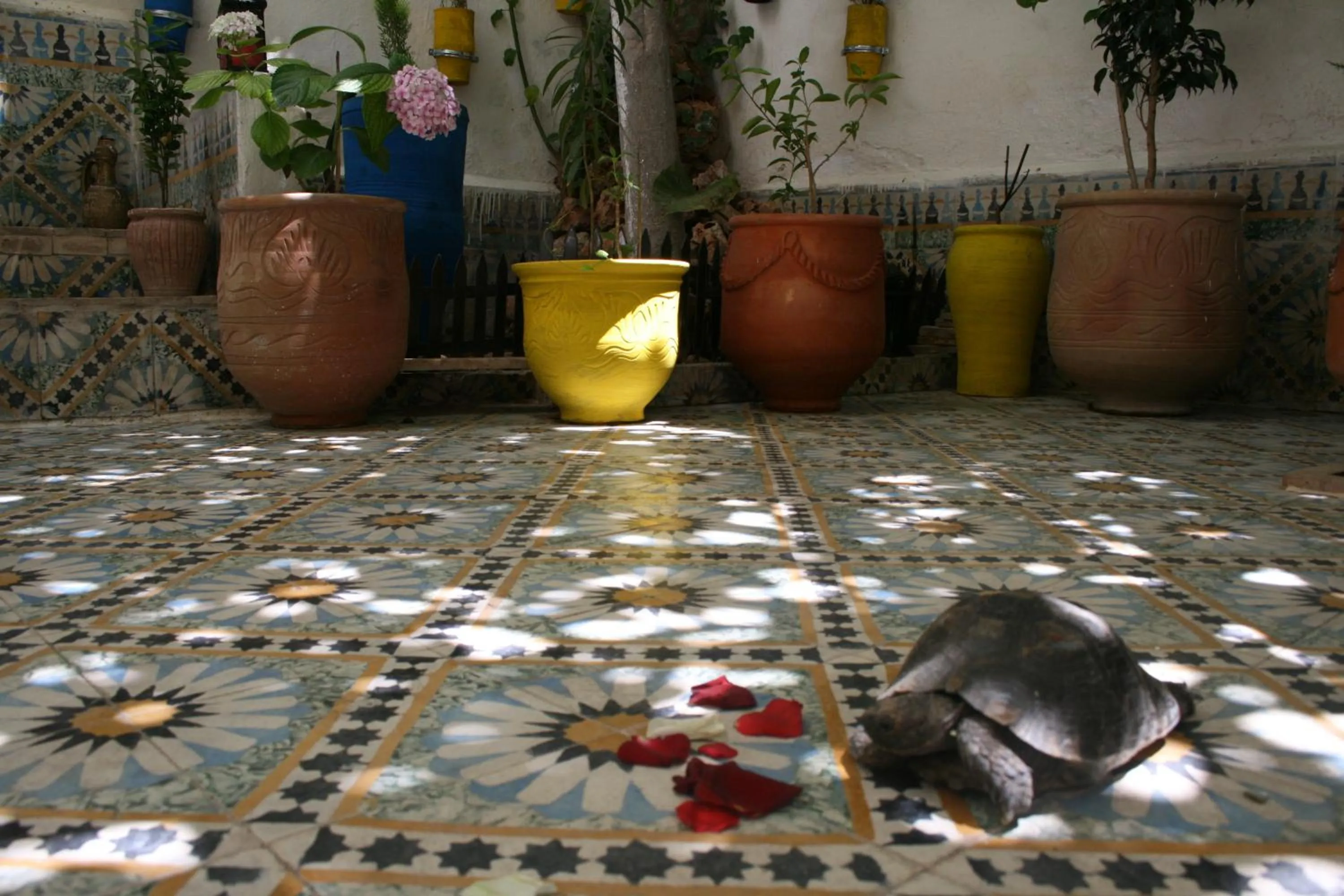 Decorative detail in Riad Lalla Fatima