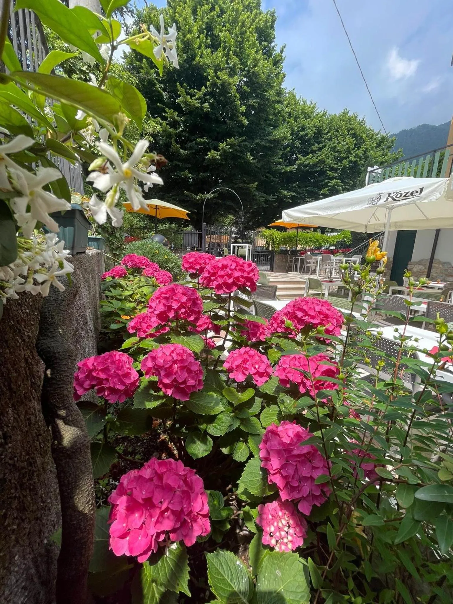 Restaurant/places to eat in Ca' ai Tigli