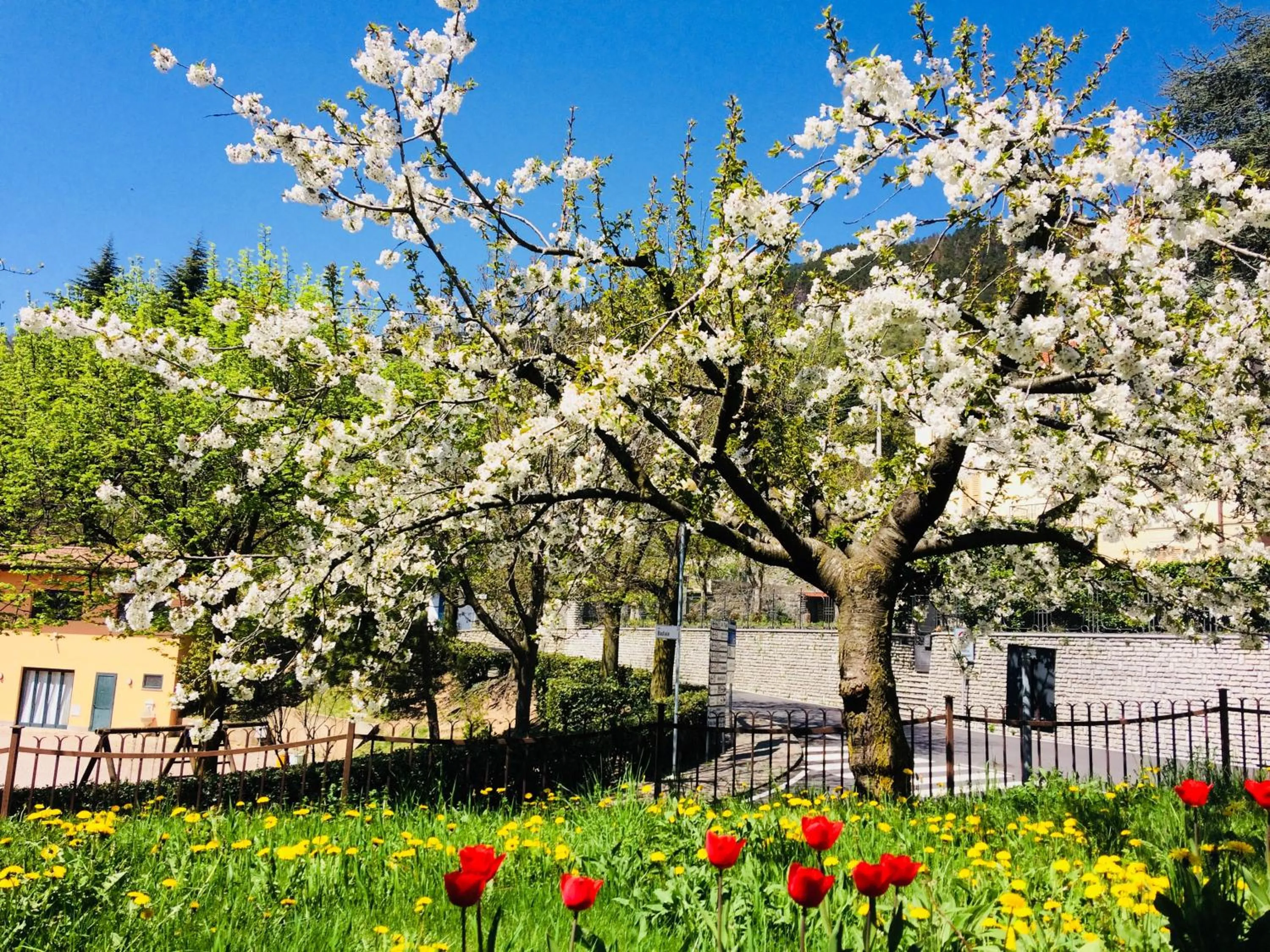 Garden in Ca' ai Tigli