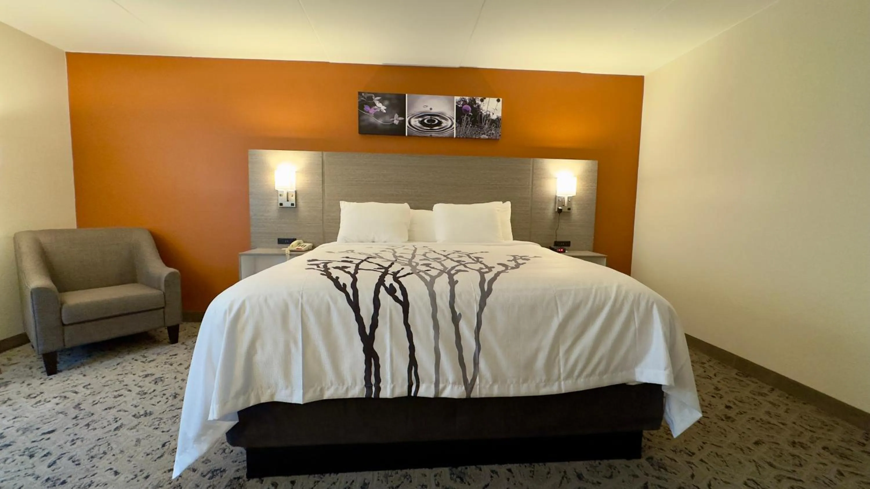 Bed in Sleep Inn Chambersburg