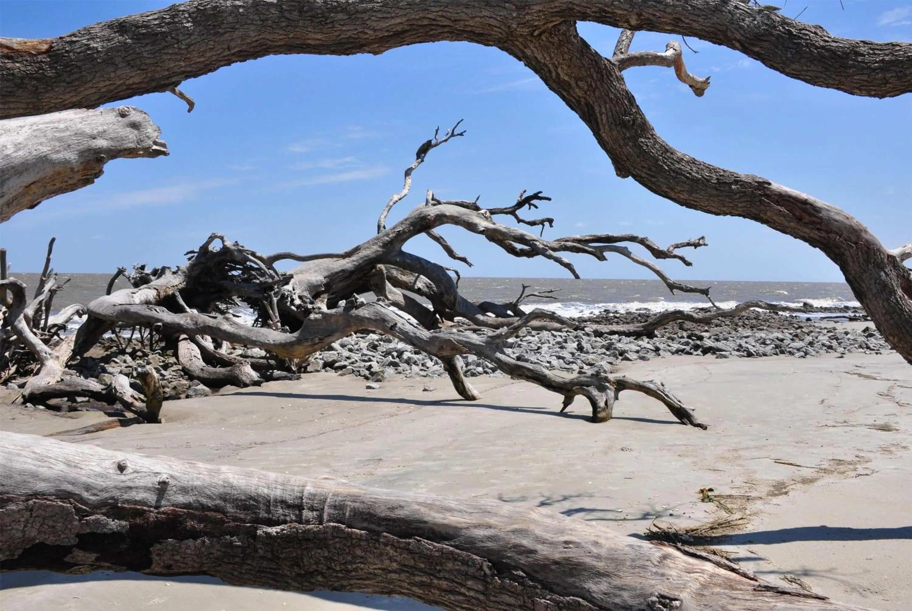 Other in Days Inn & Suites by Wyndham Jekyll Island