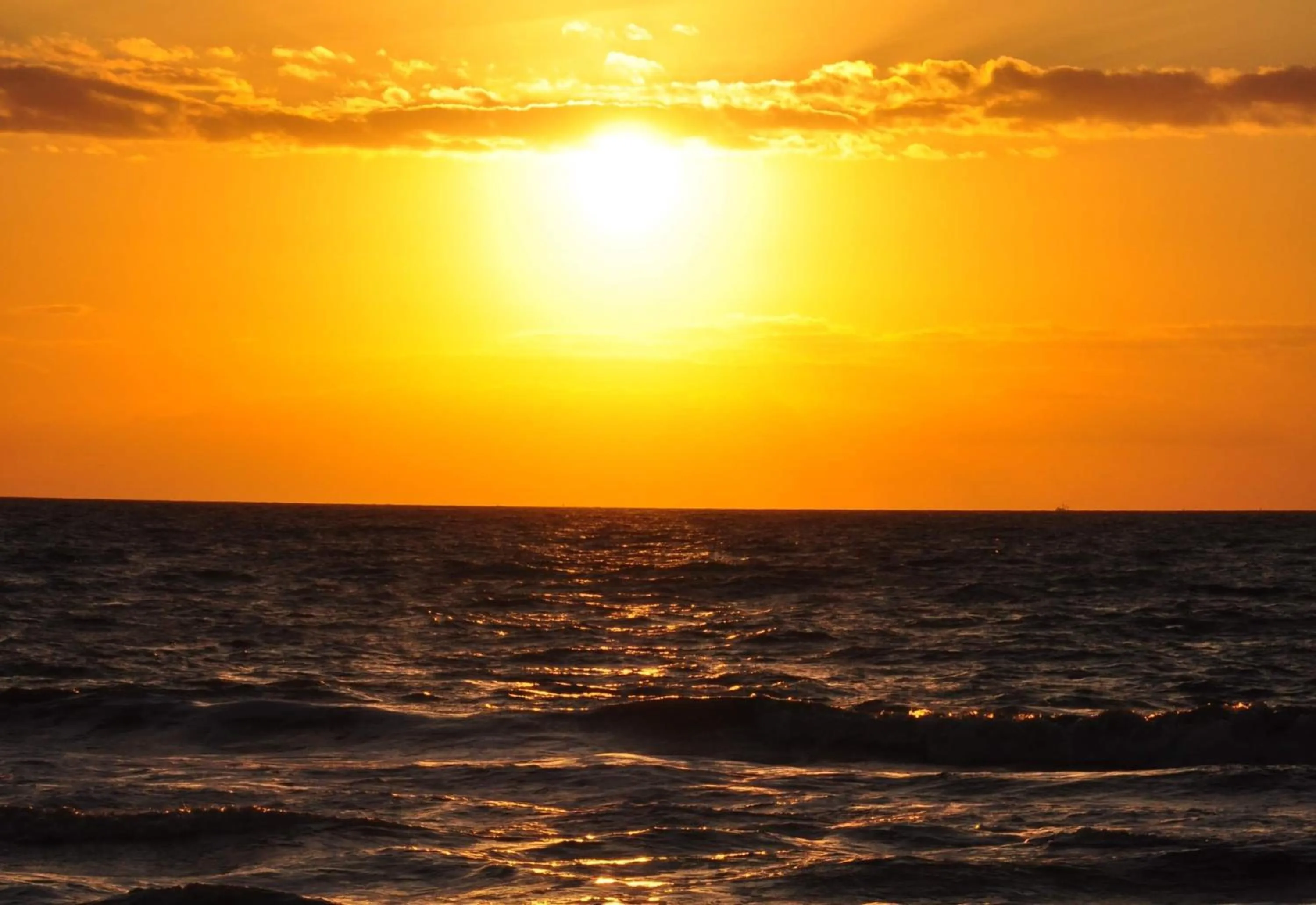 Other in Days Inn & Suites by Wyndham Jekyll Island