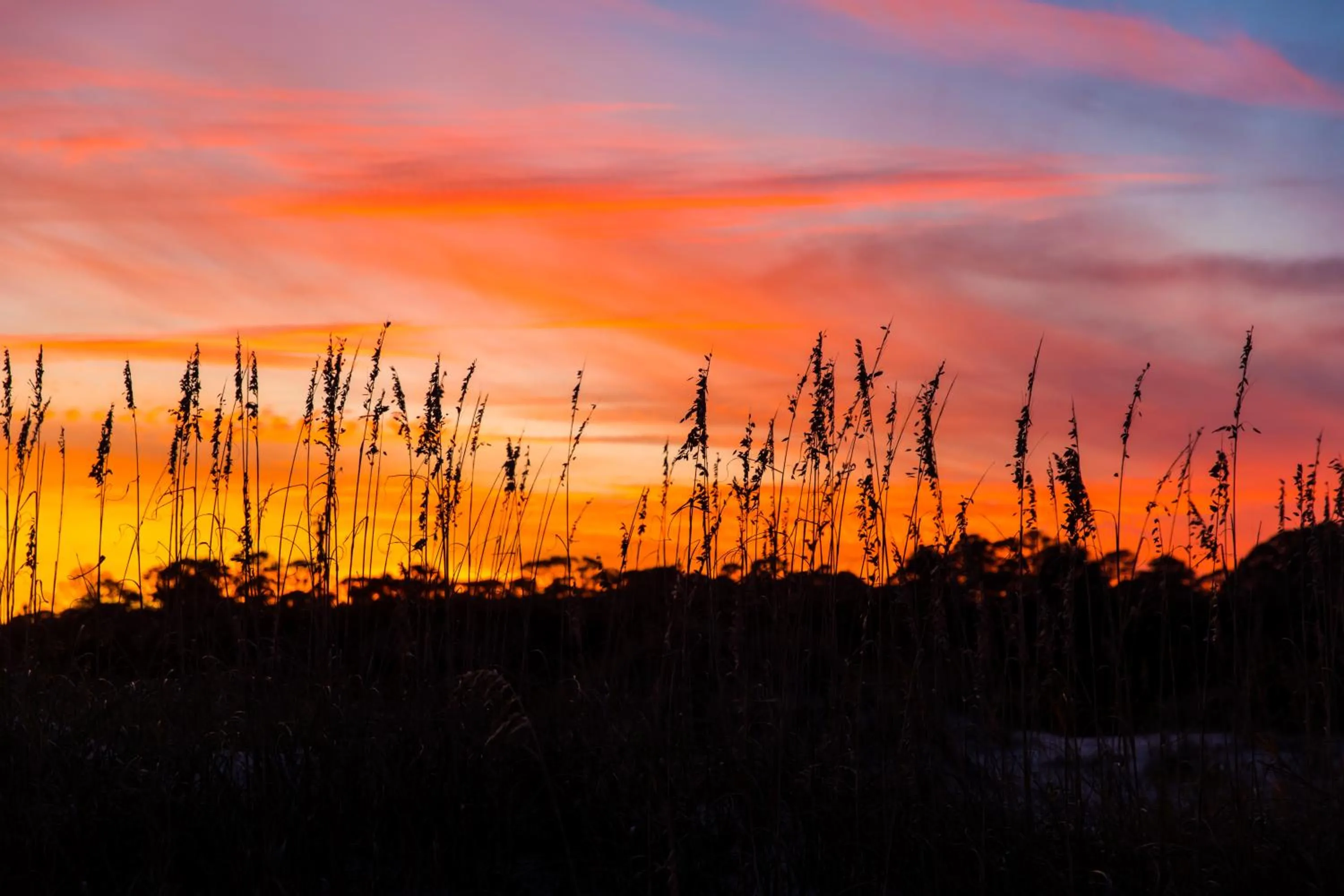 Natural landscape in Days Inn & Suites by Wyndham Jekyll Island
