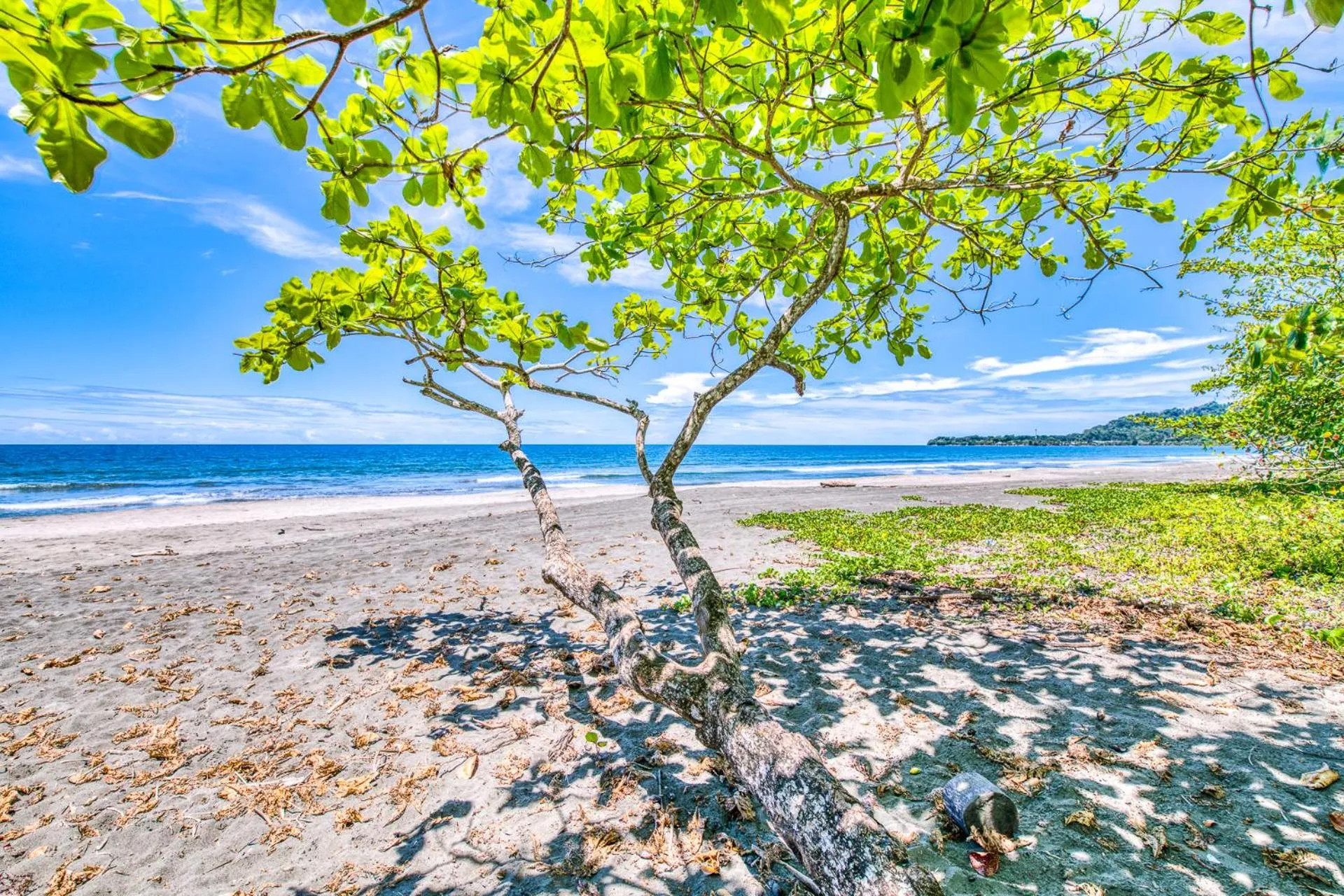 Beach in Villas Piña - Adults only