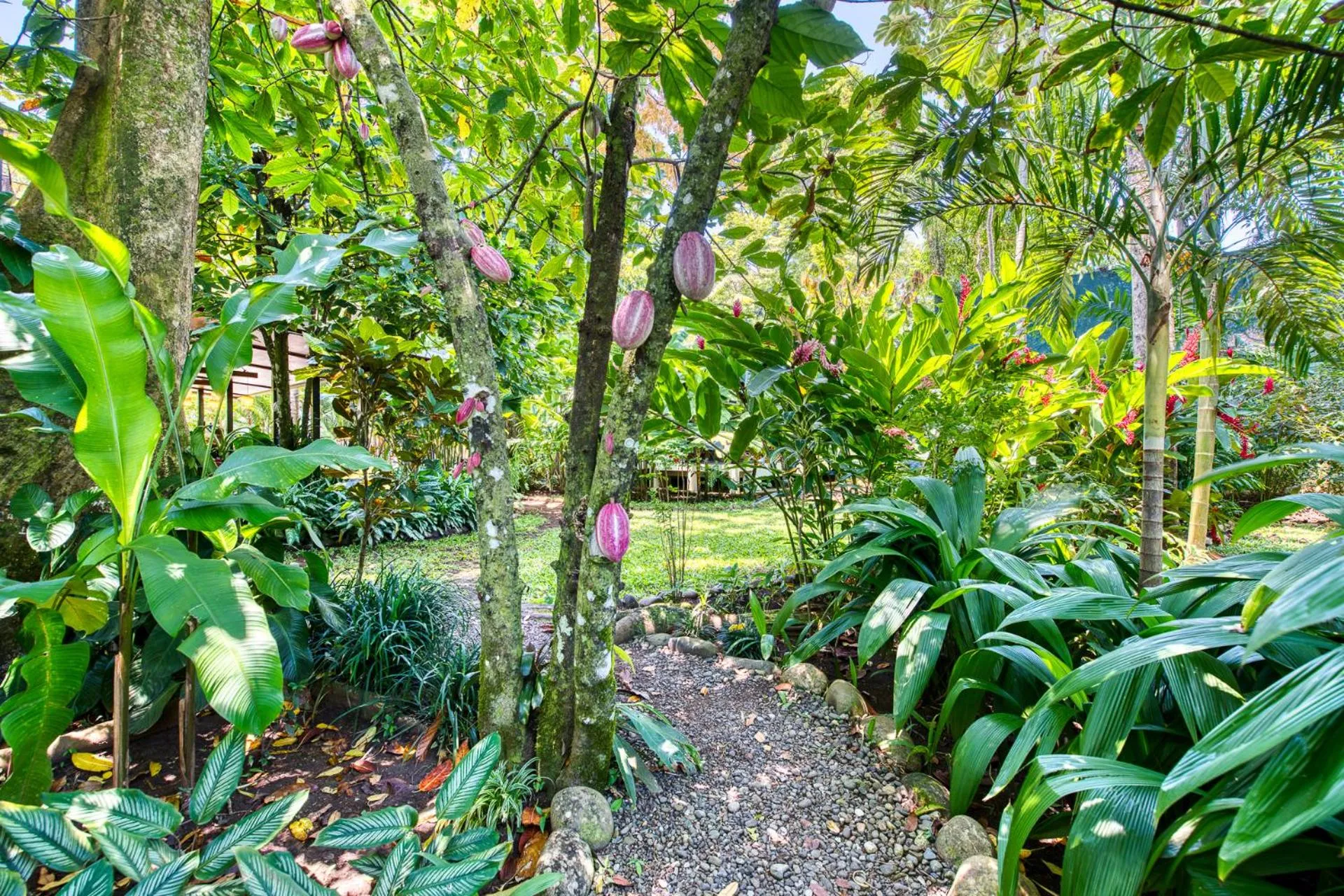 Garden in Villas Piña - Adults only