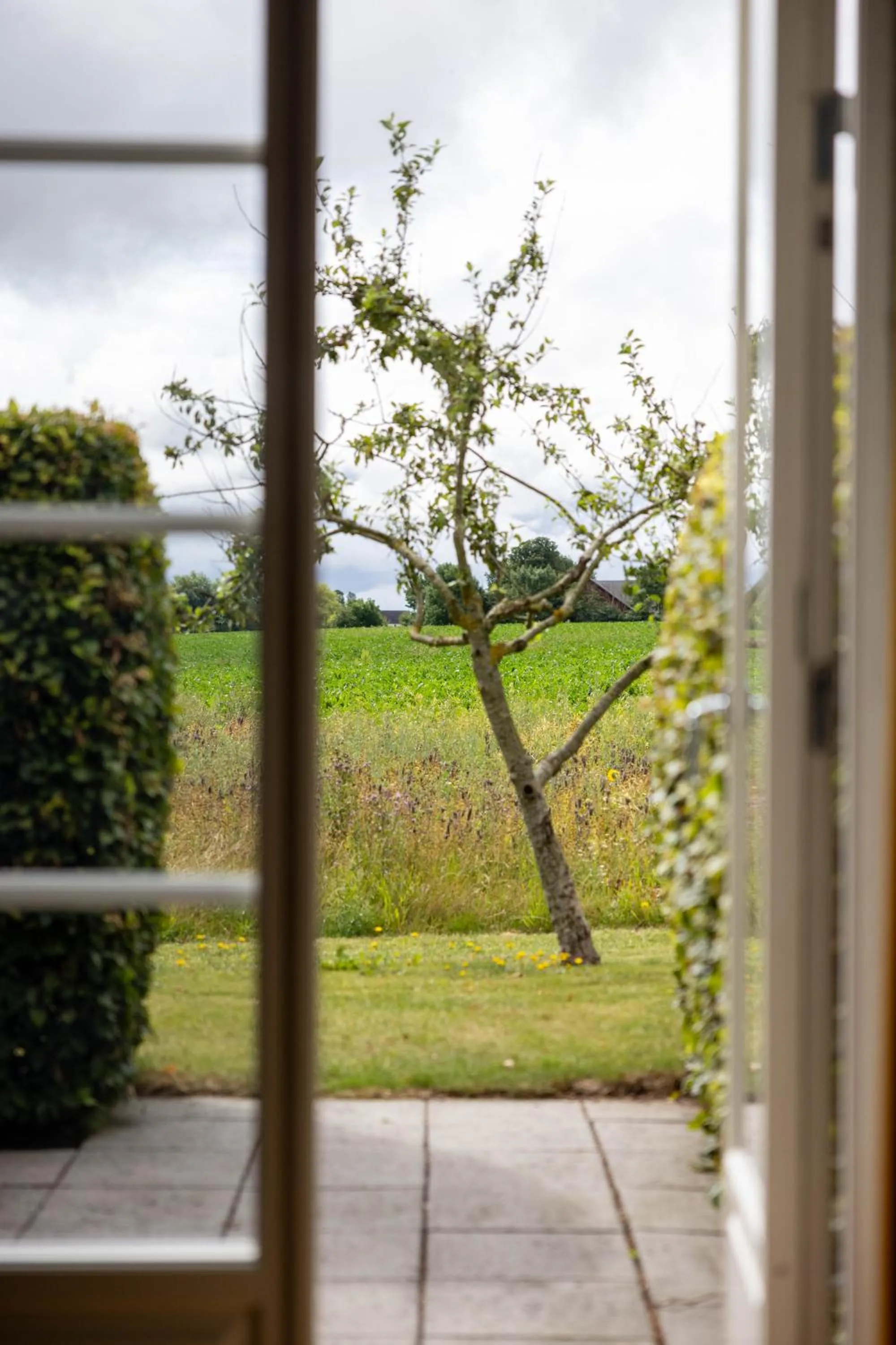 View (from property/room) in Örums Nygård Gårdshotell