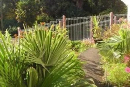 Garden in Panorama Motor Inn