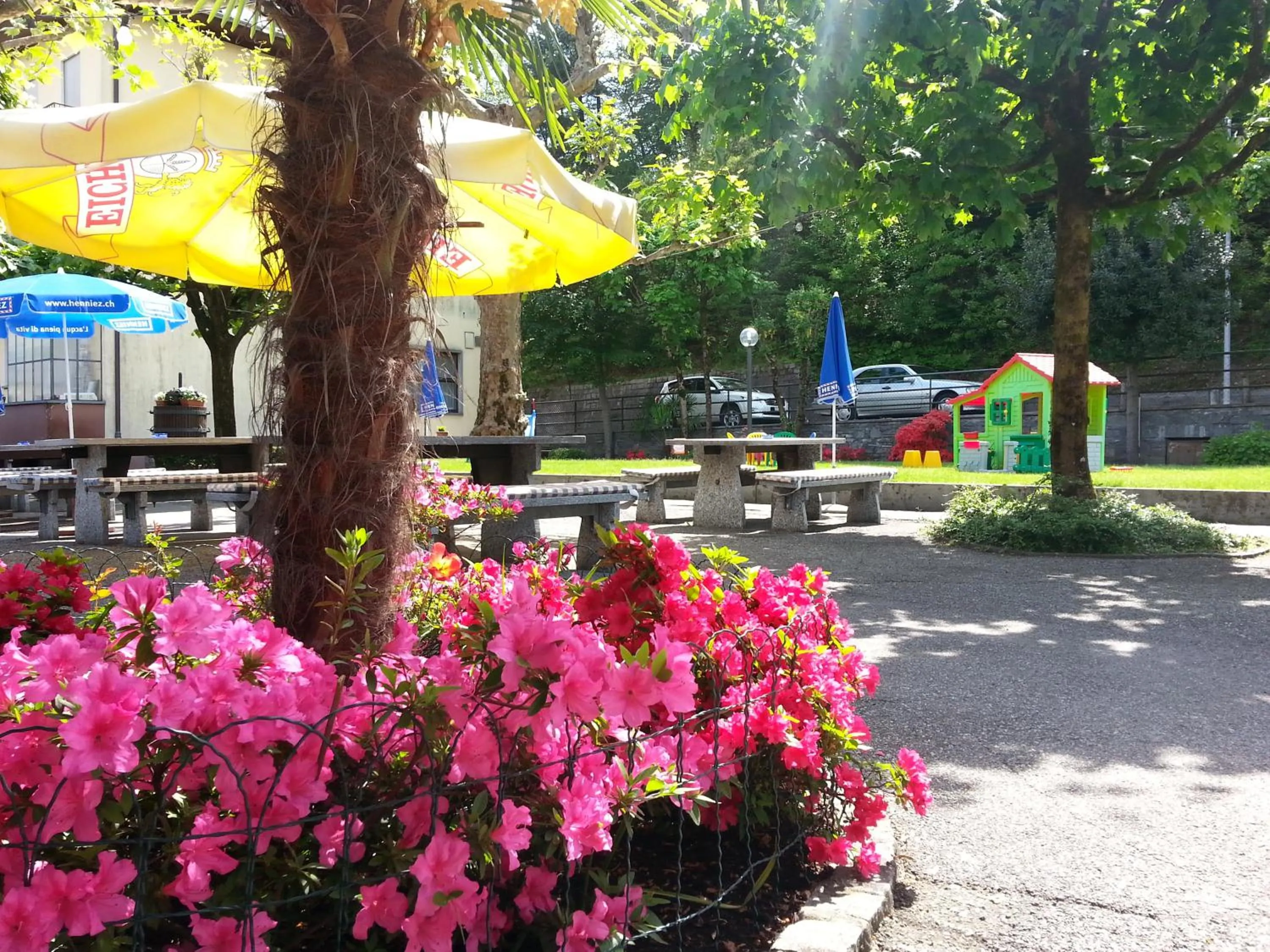 Restaurant/places to eat in Osteria Belvedere