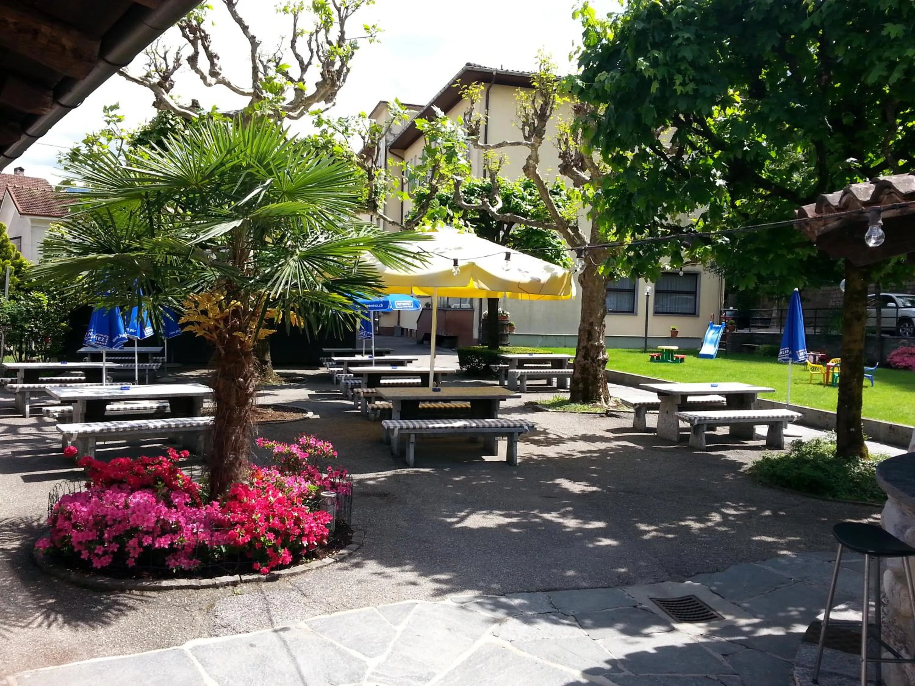 Restaurant/places to eat in Osteria Belvedere