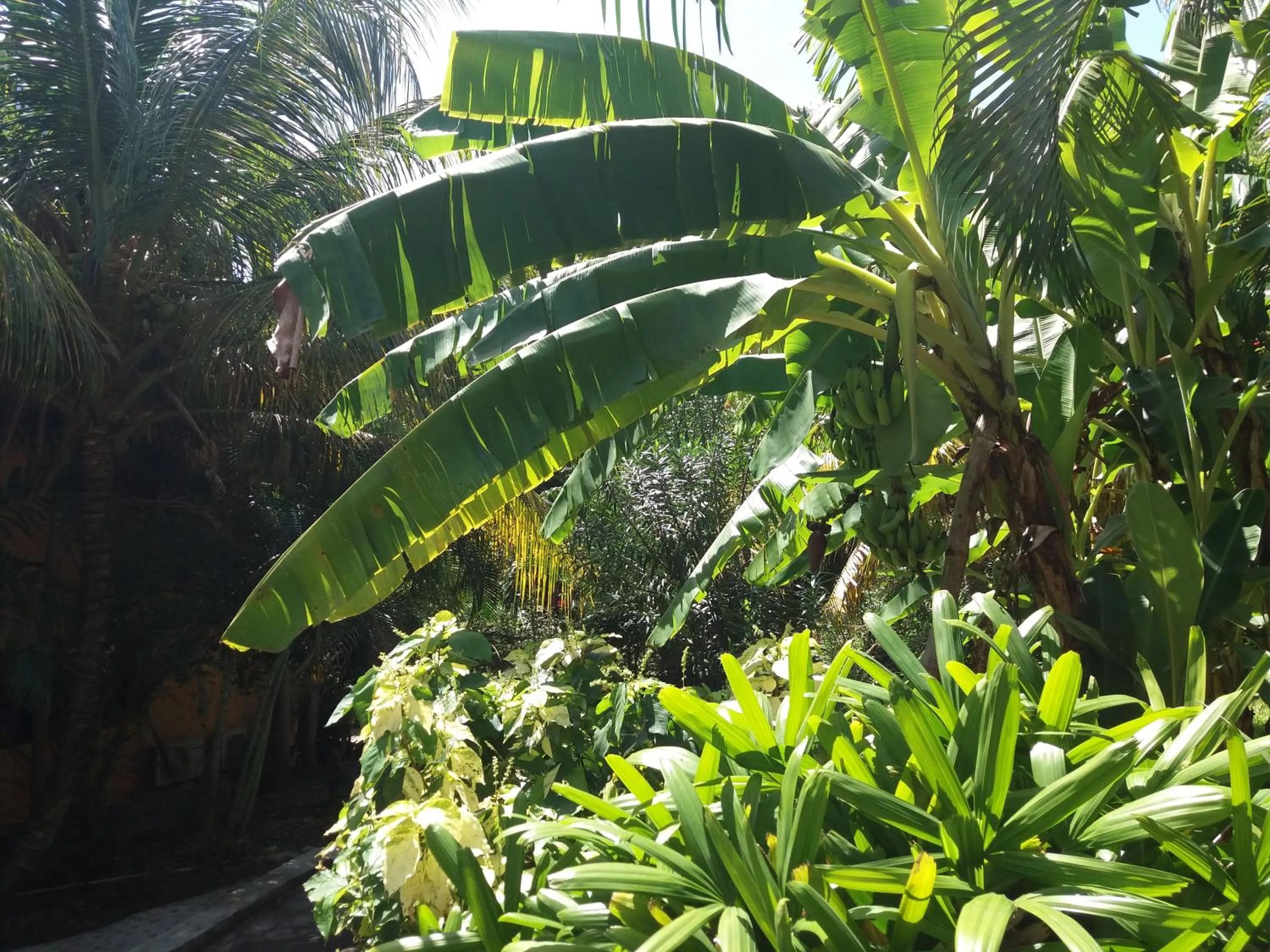 Reef View Pavilions - Villas & Condos