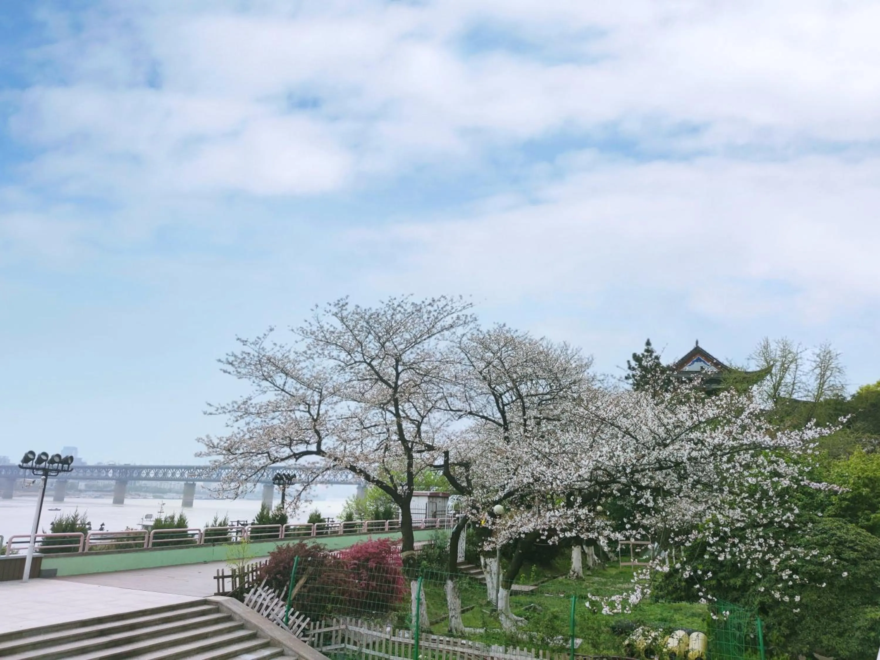 Spring in Holiday Inn Wuhan Riverside by IHG