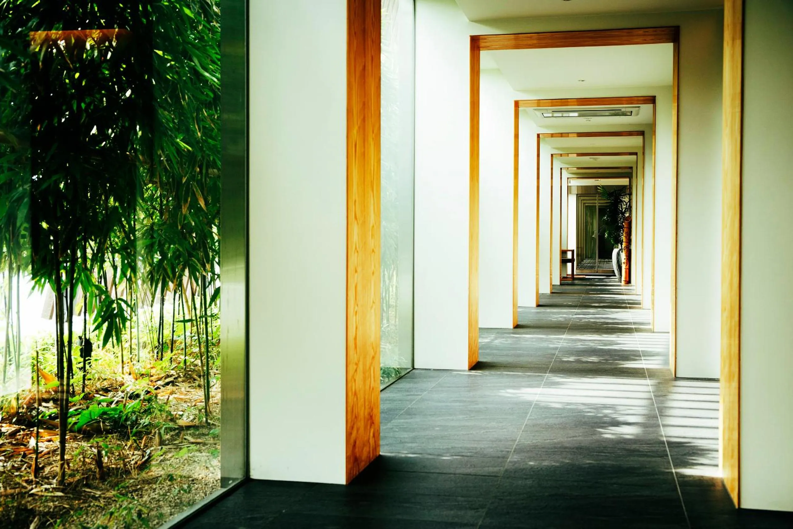 Area and facilities in Garden Terrace Saga Hotel & Resorts