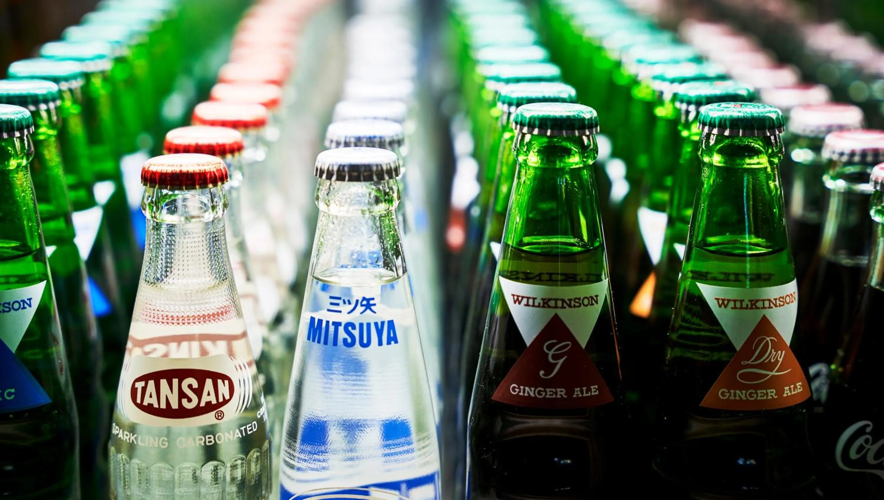 Lounge or bar in Garden Terrace Saga Hotel & Resorts