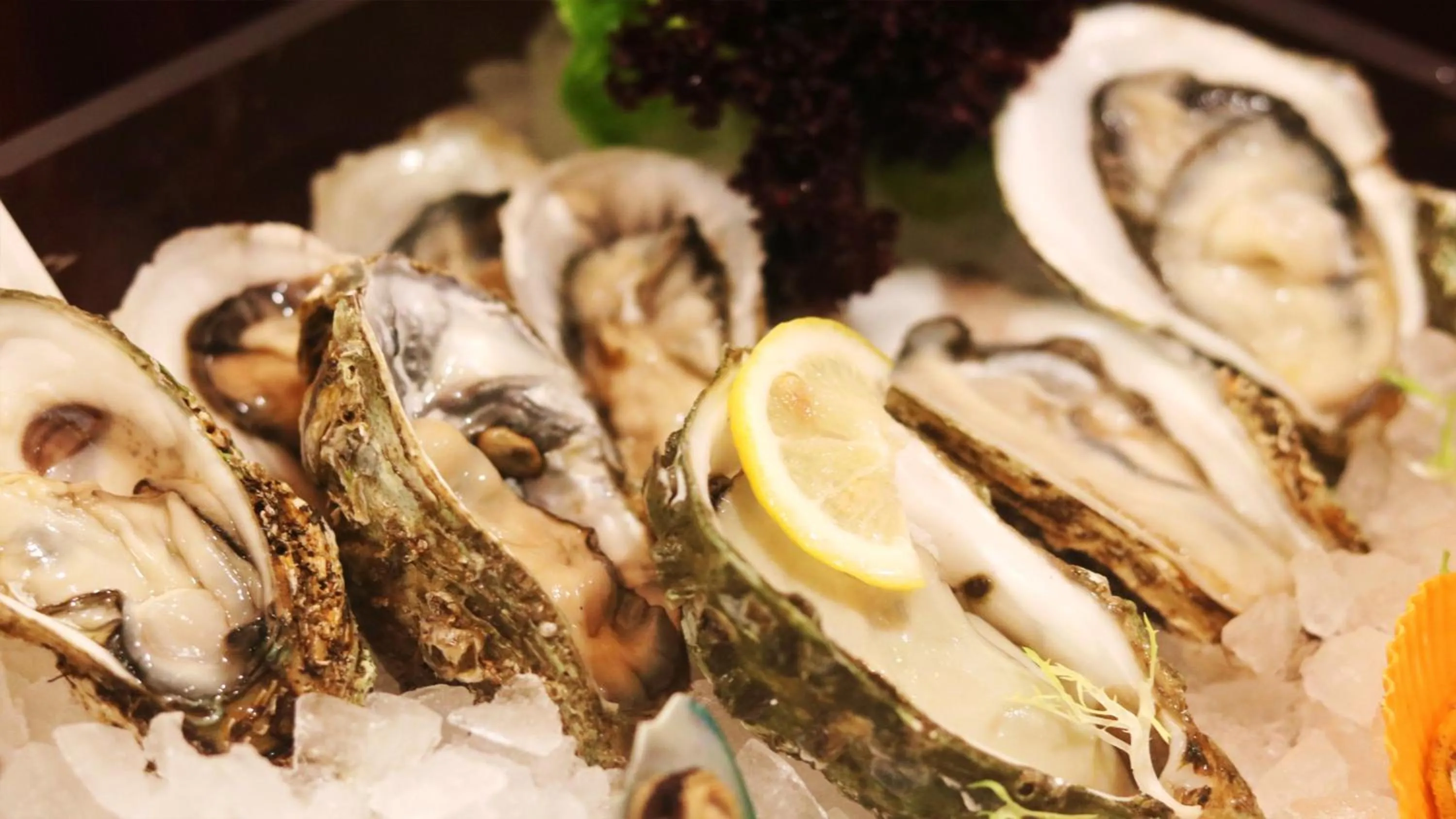 Restaurant/places to eat, Food in Holiday Inn Hohhot