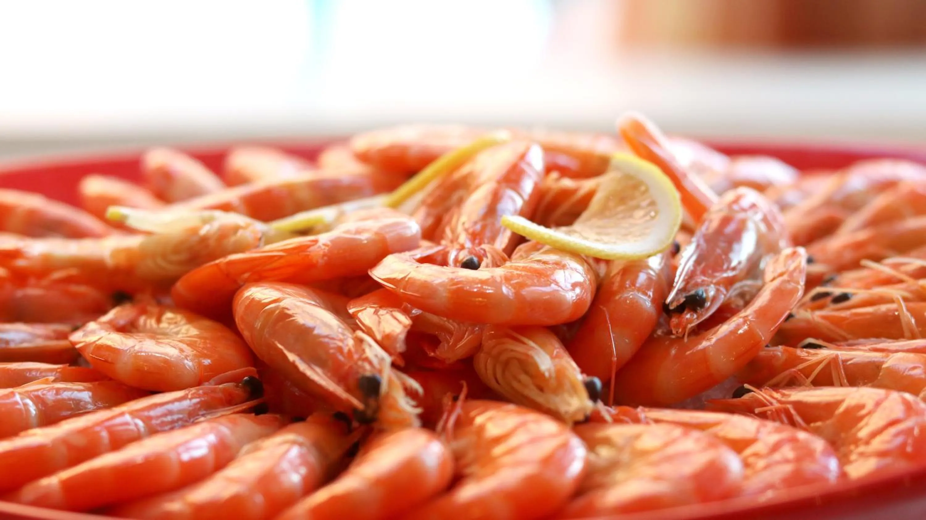 Restaurant/places to eat, Food in Holiday Inn Hohhot