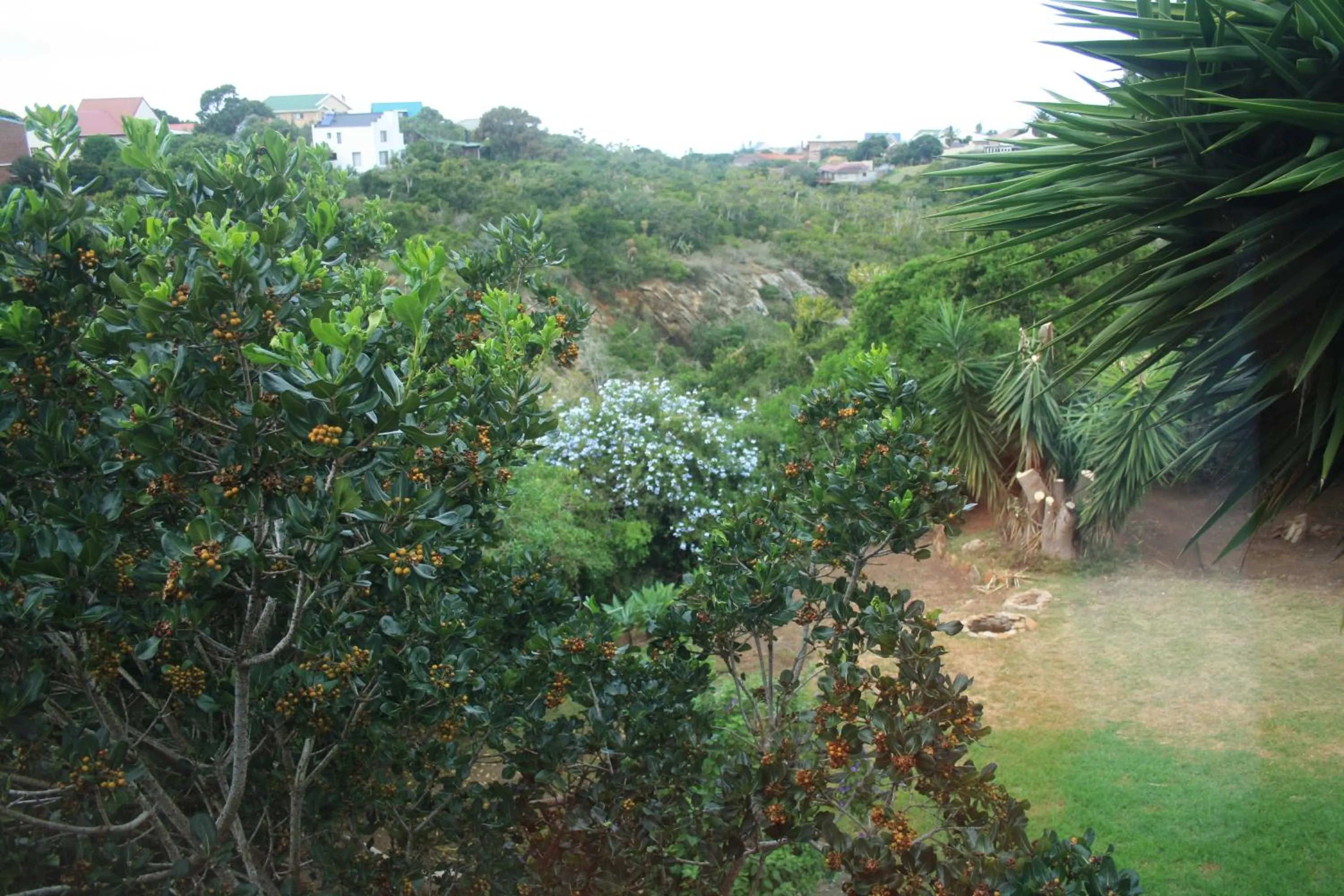 Garden view in Dolphin View Guesthouse