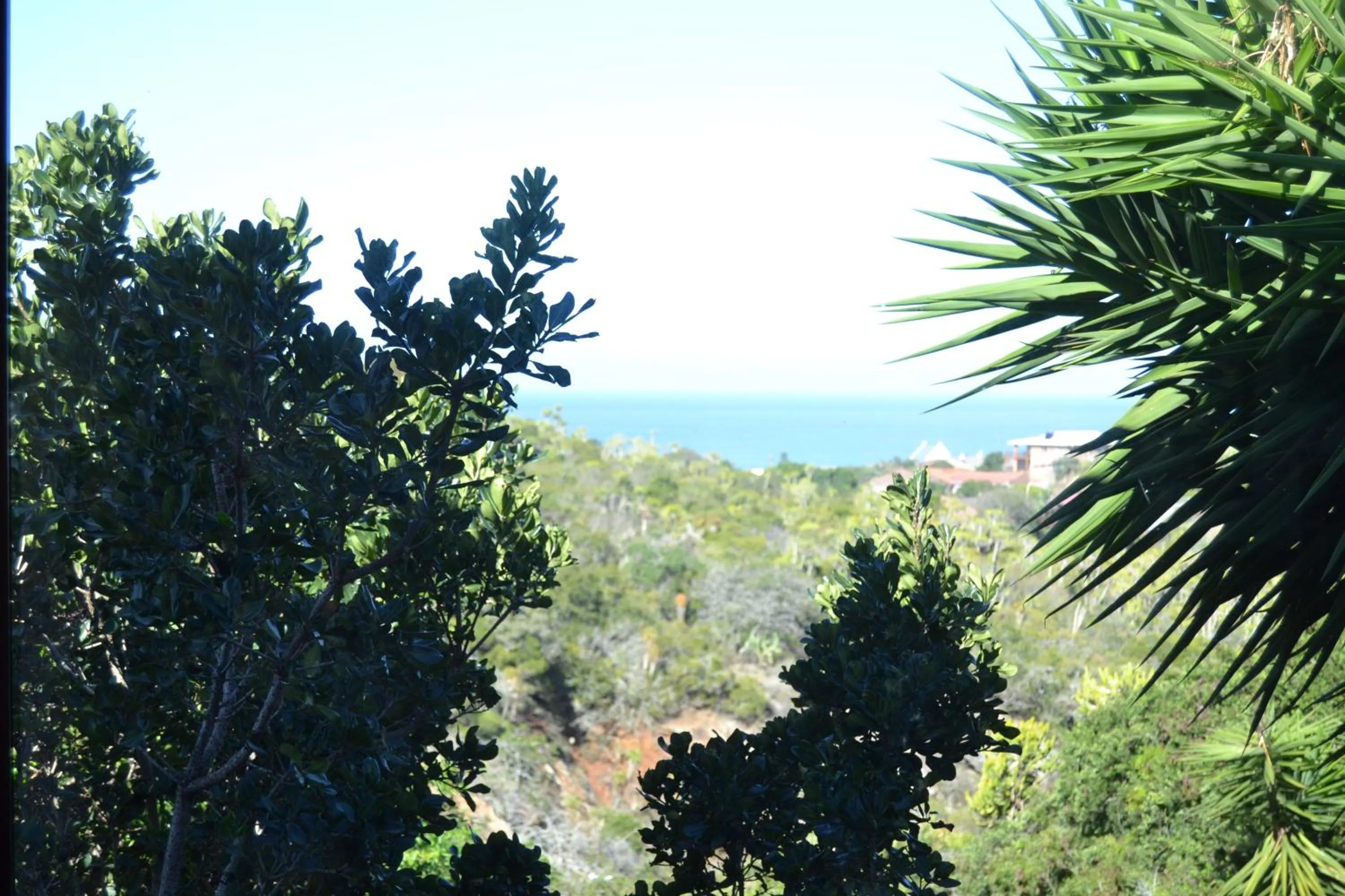 Sea view in Dolphin View Guesthouse