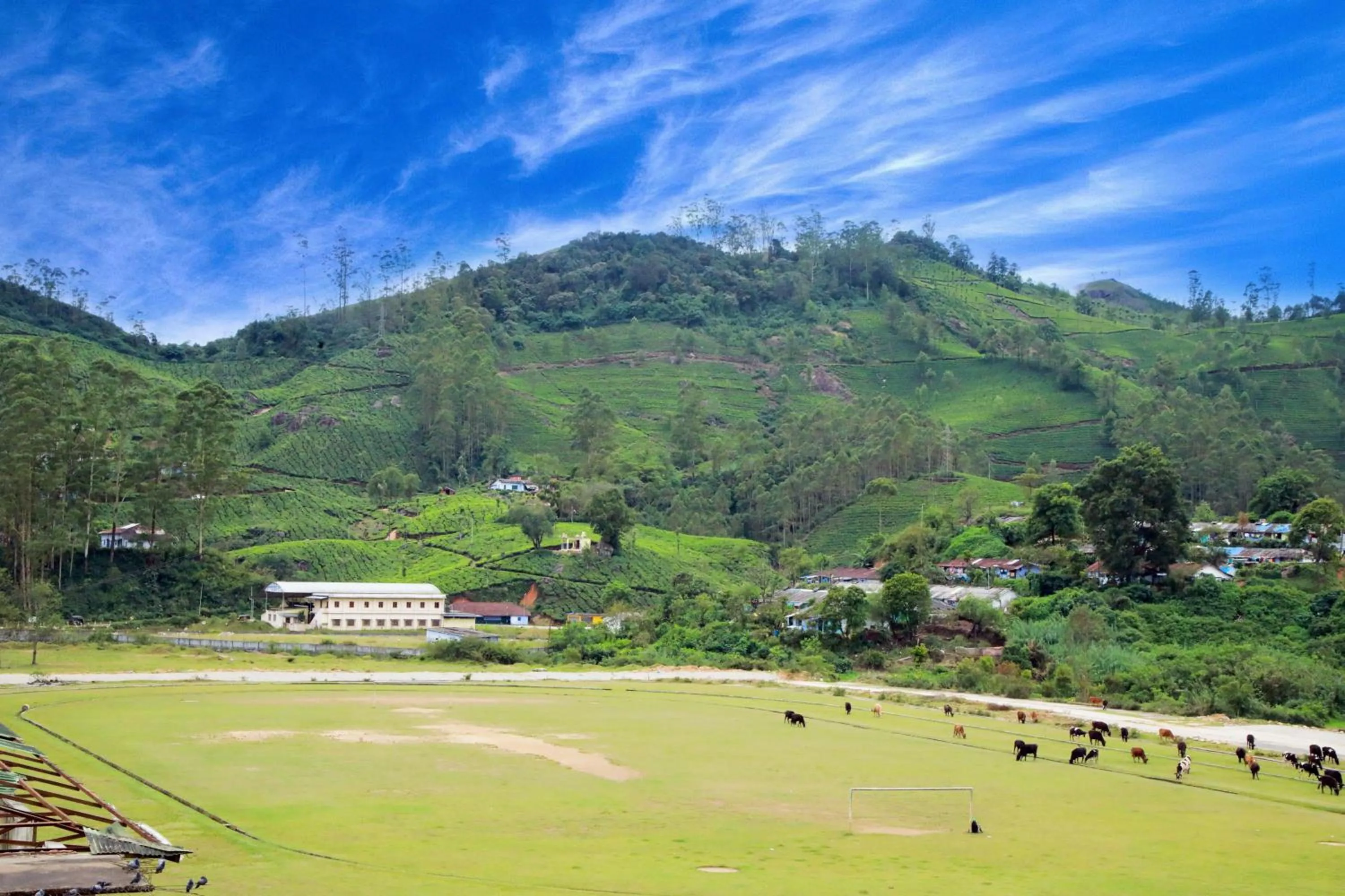 Off site in Casa Montana Munnar
