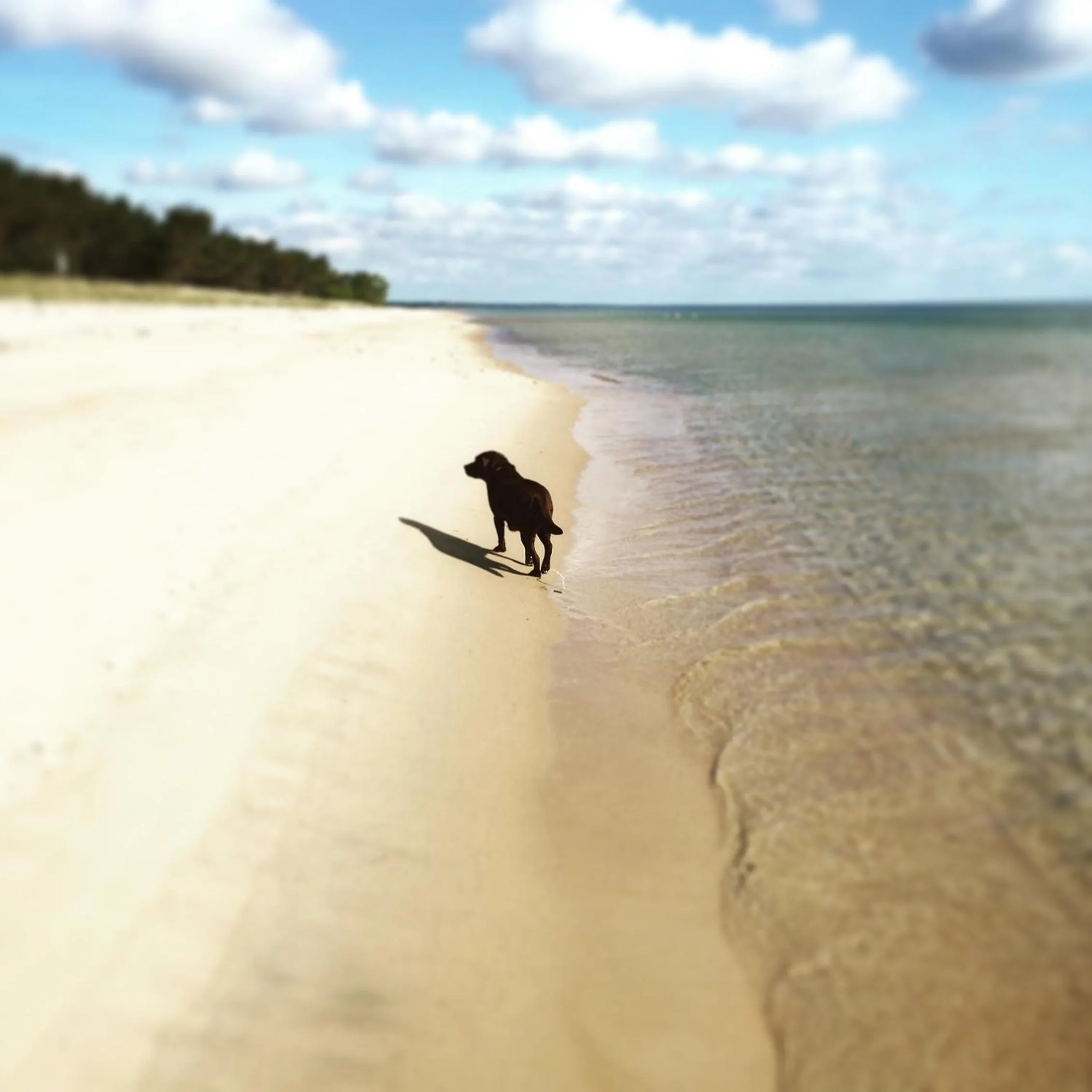 Beach in Kivikstrand Badhotell