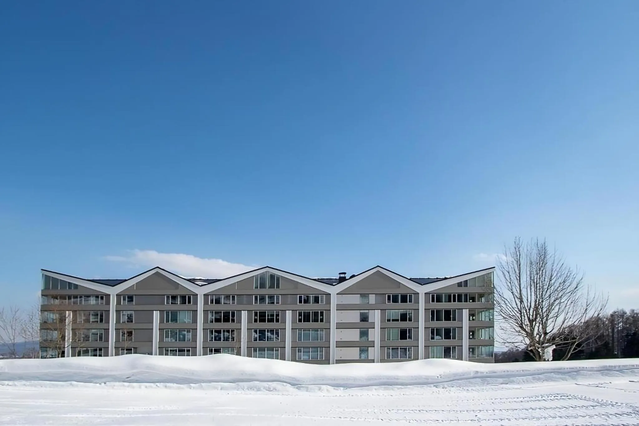 Property building in The Maples Niseko