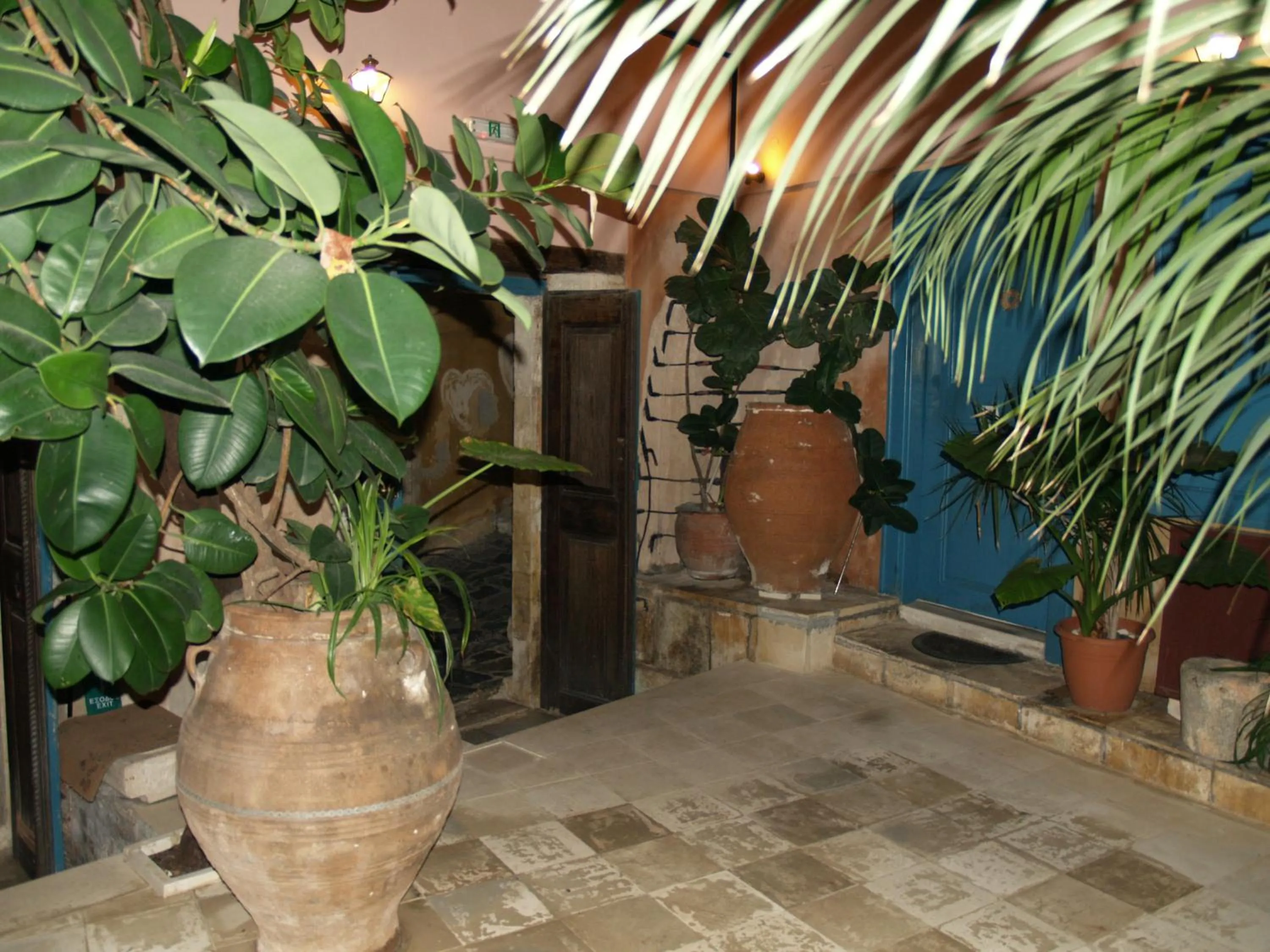 Garden in Hotel Amphora