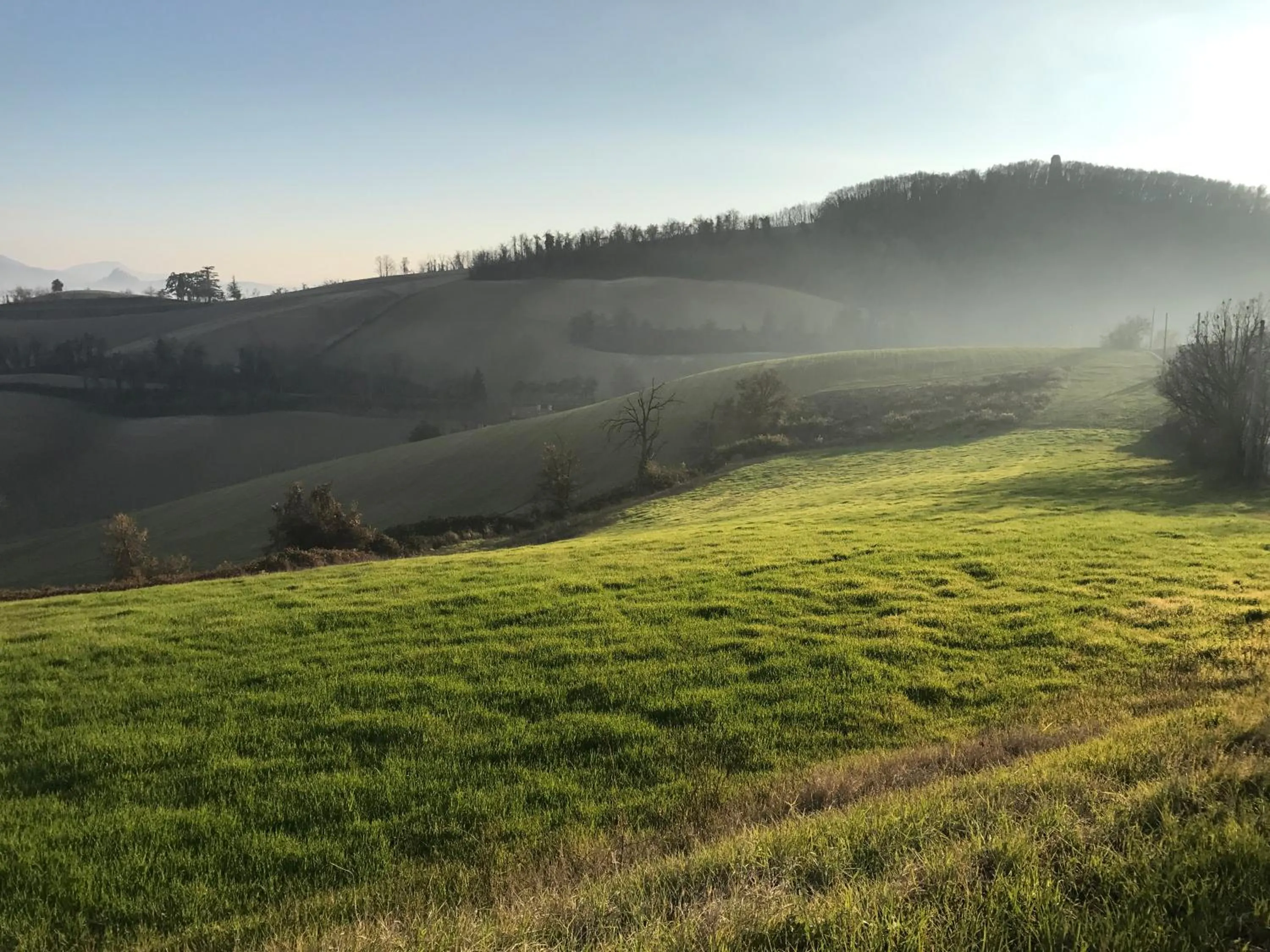 Natural landscape in Agriturismo Oinoe