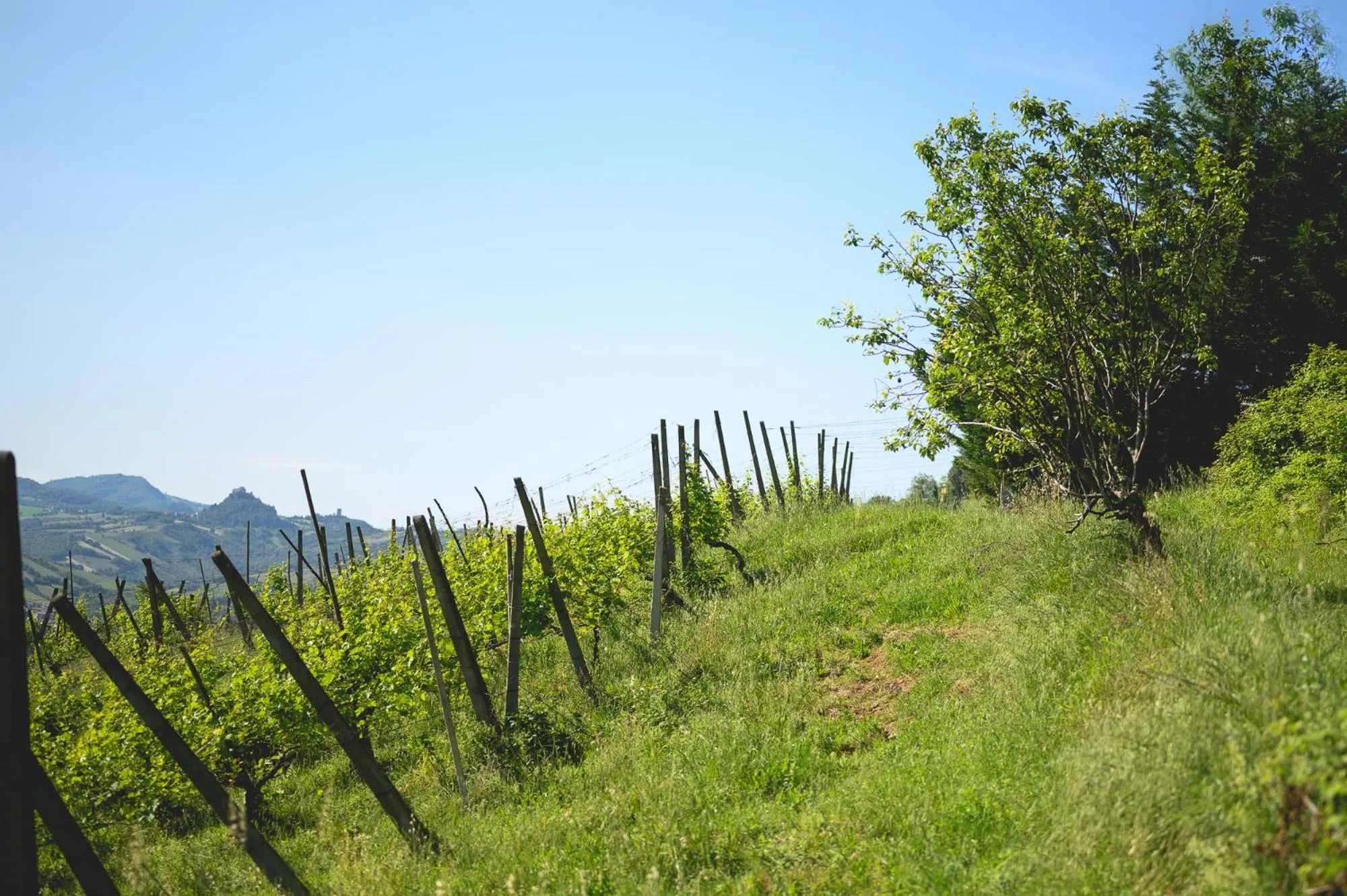 Natural landscape in Agriturismo Oinoe