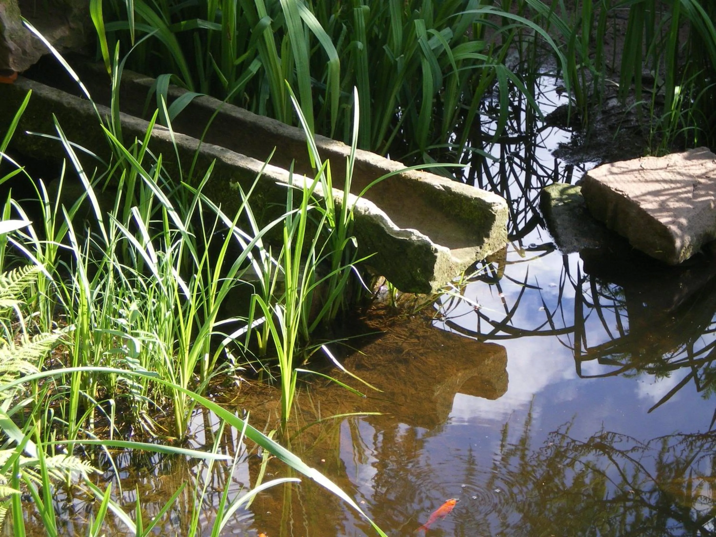 Natural landscape in Hôtel des Vosges