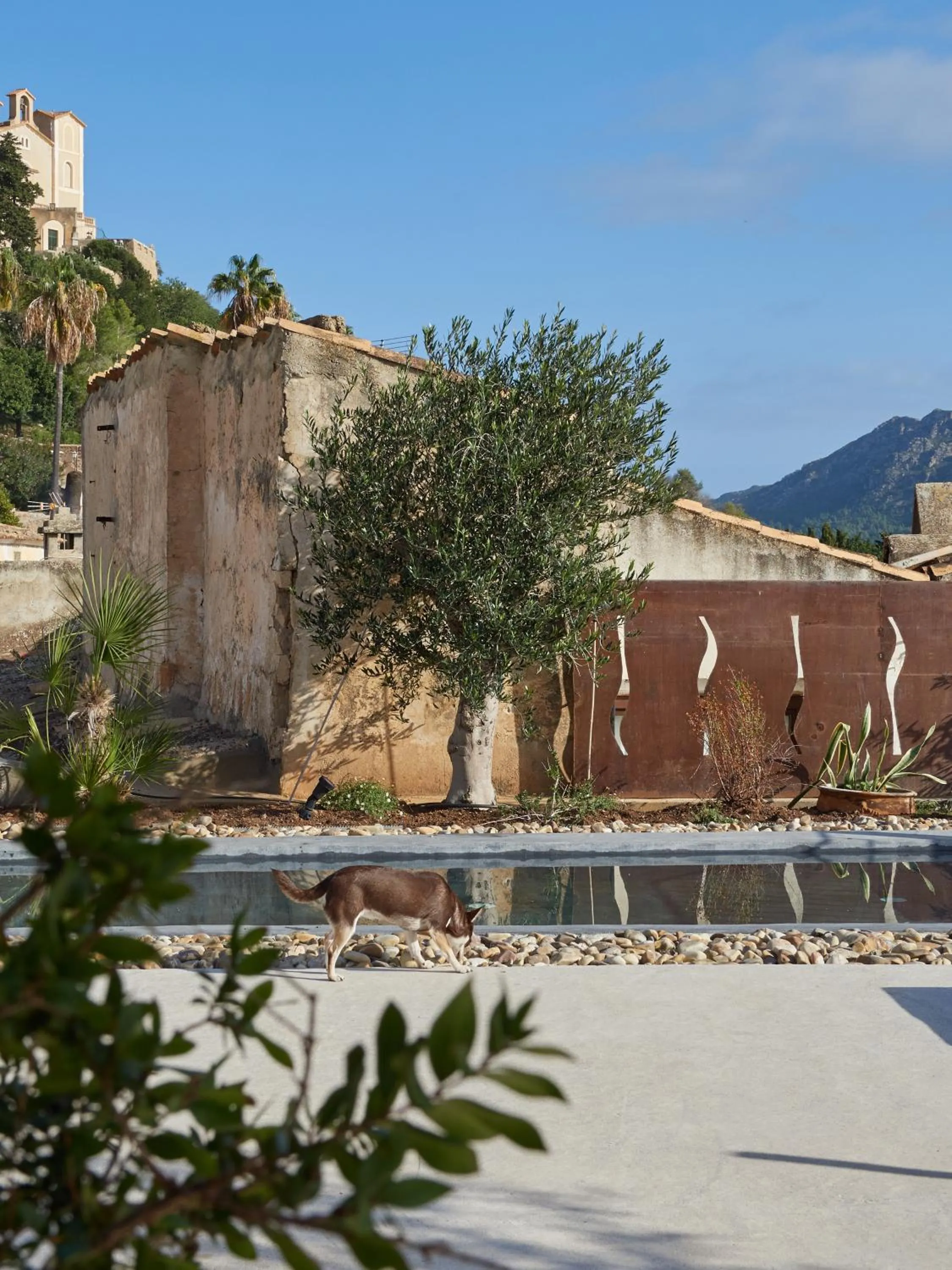 Swimming pool in Hotel Forn Nou