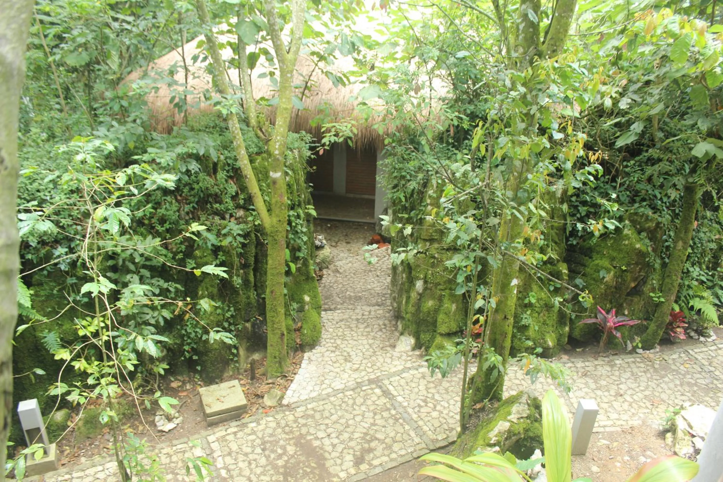 Garden in Hotel Boutique La Casona de Don Porfirio
