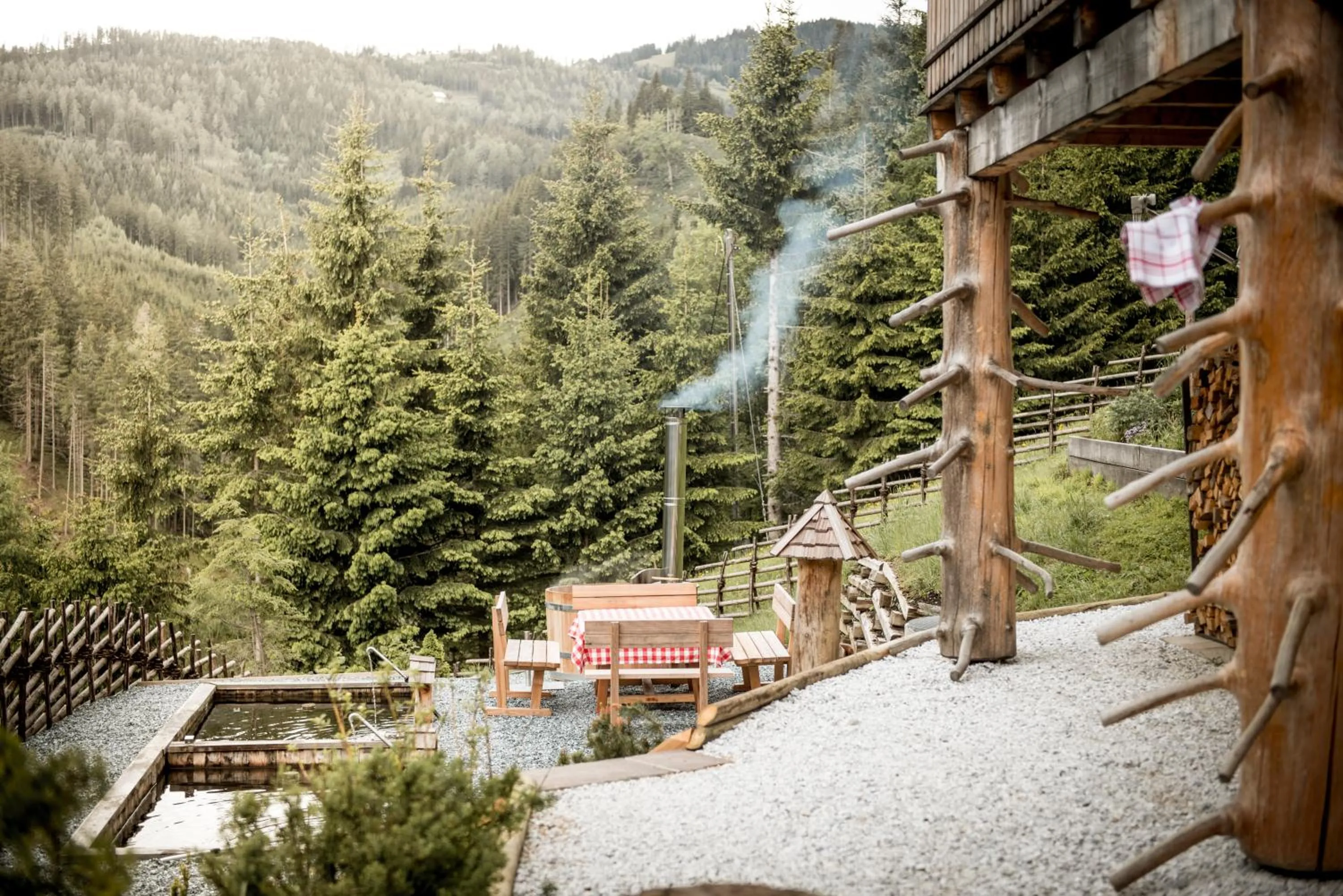 Garden view in Bergchalet Kuhgraben