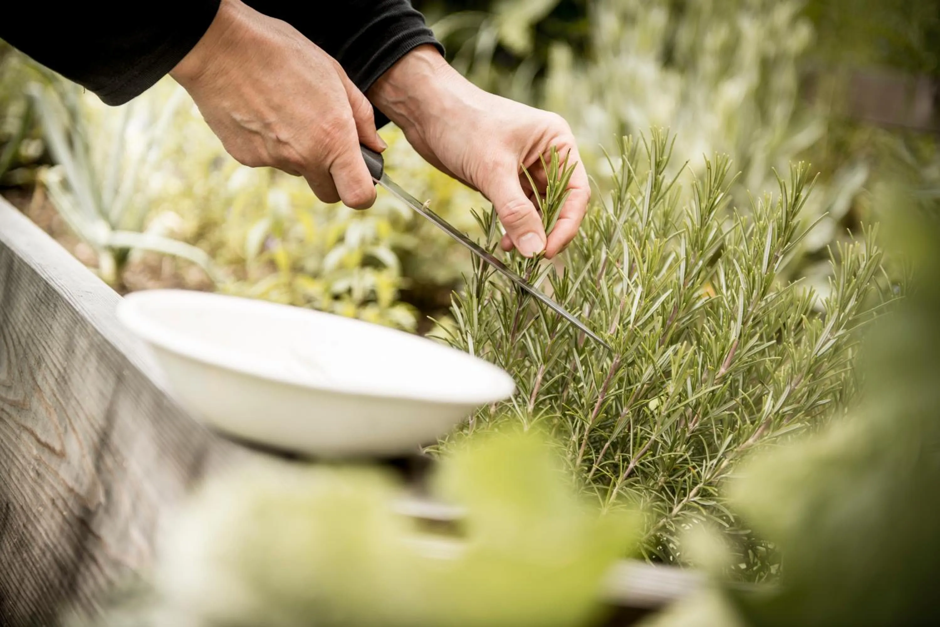 On site in Bergchalet Kuhgraben