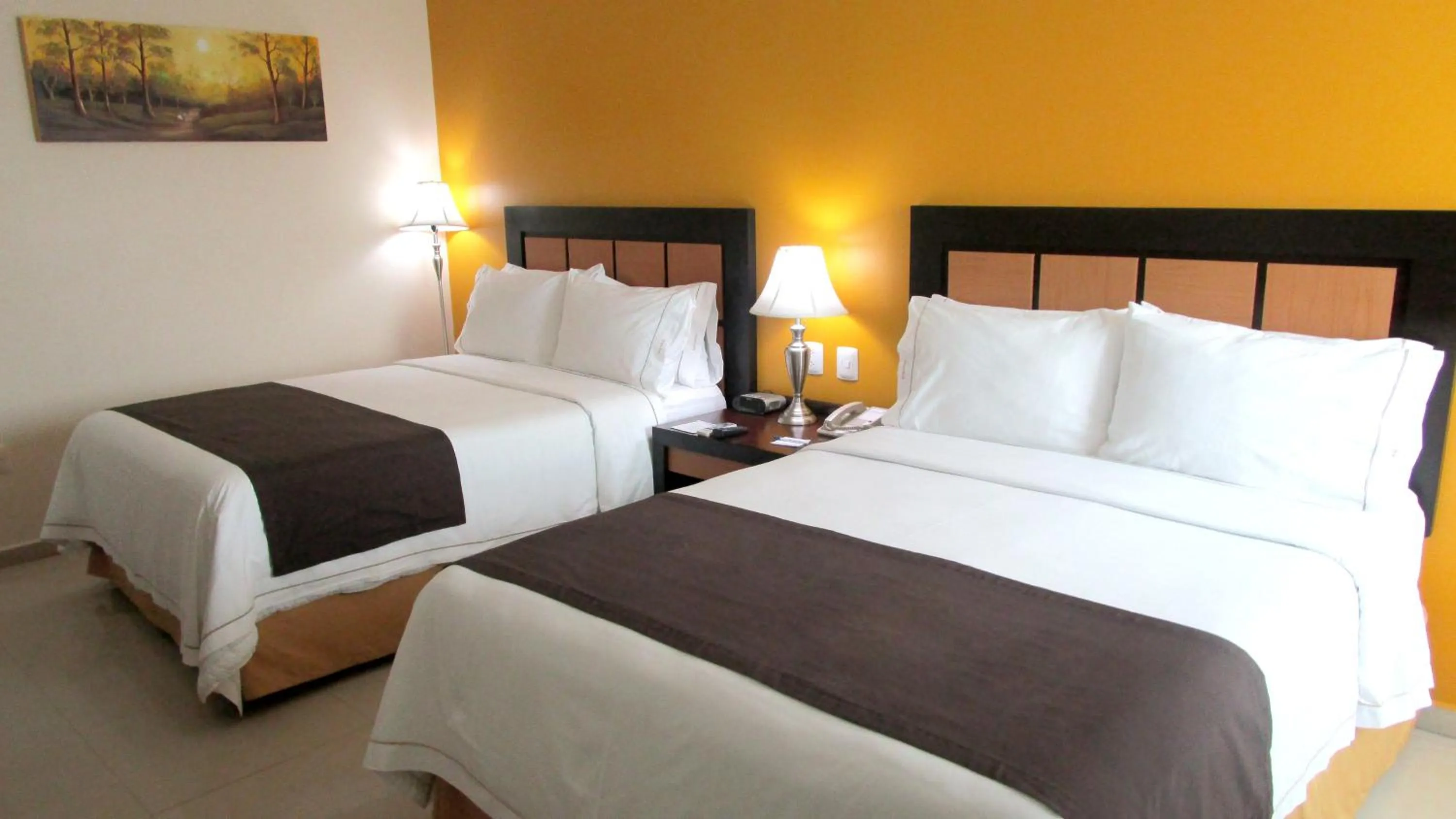 Photo of the whole room in Holiday Inn Express Paraiso - Dos Bocas