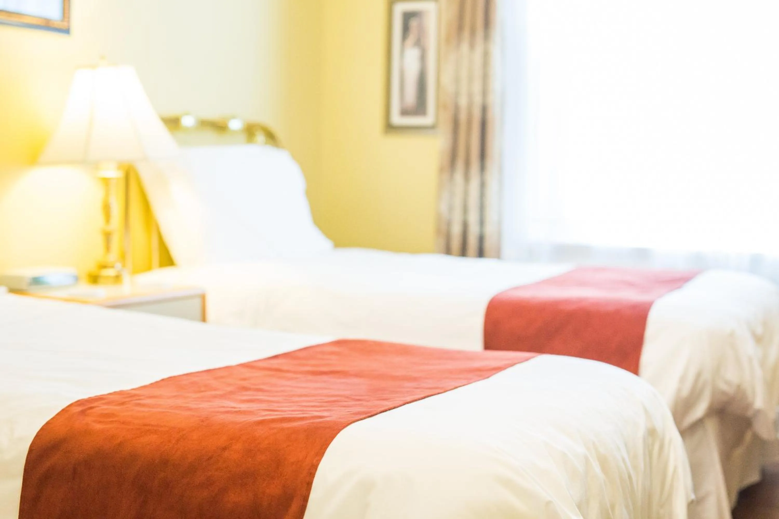 Bed in The Harbour House