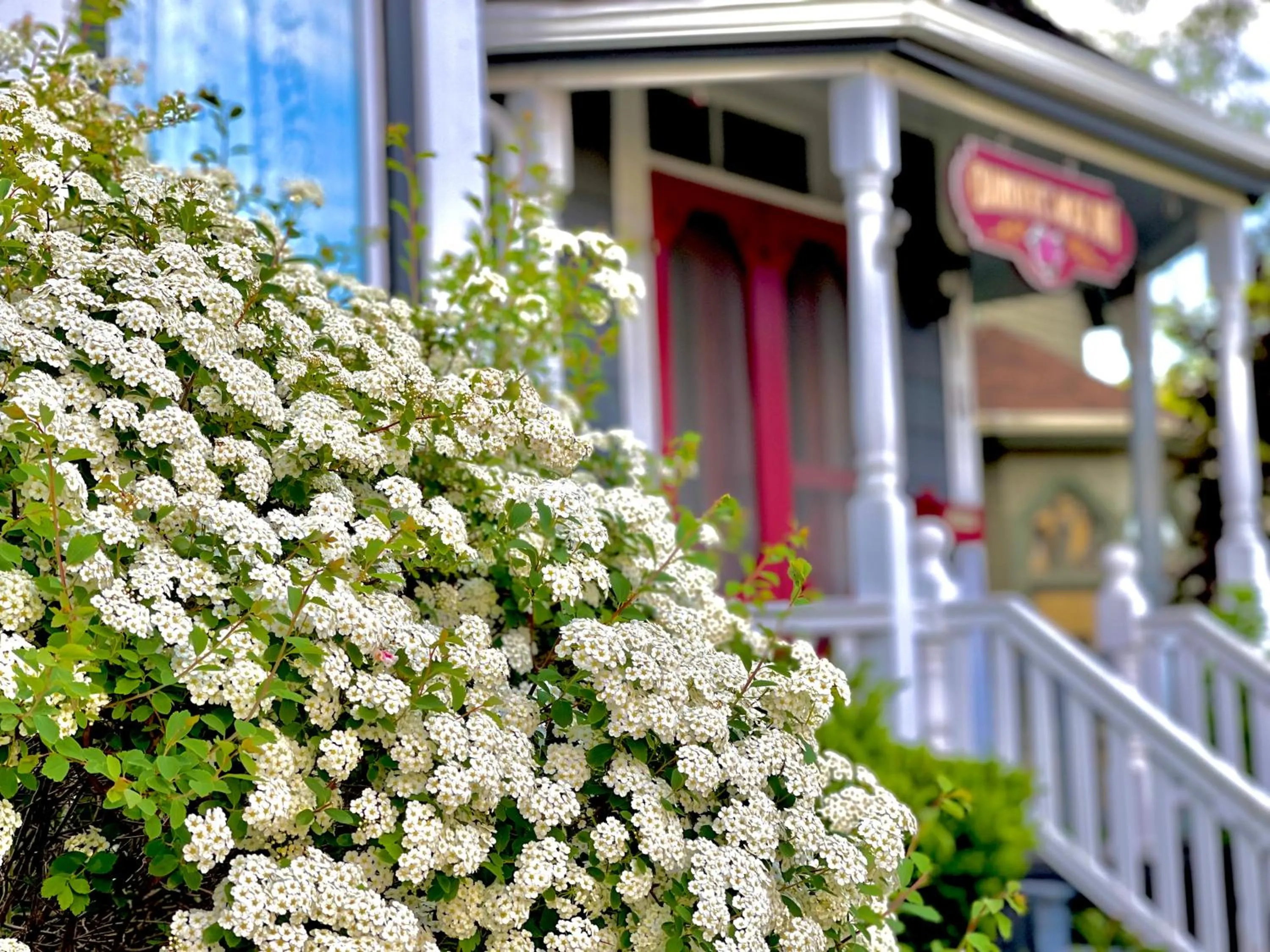 Charlotte's Rose Inn