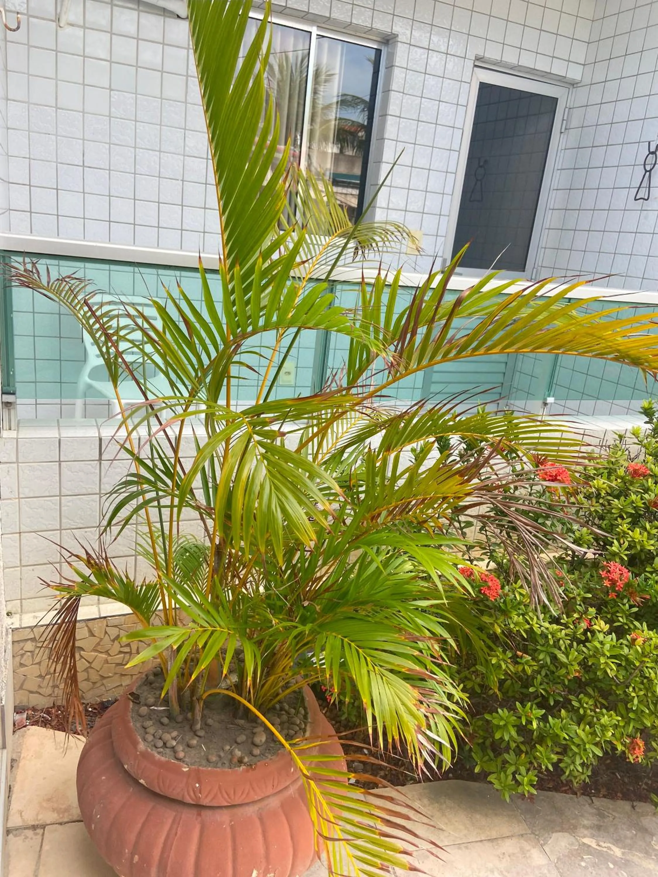 Property building in Hotel Enseada dos Corais