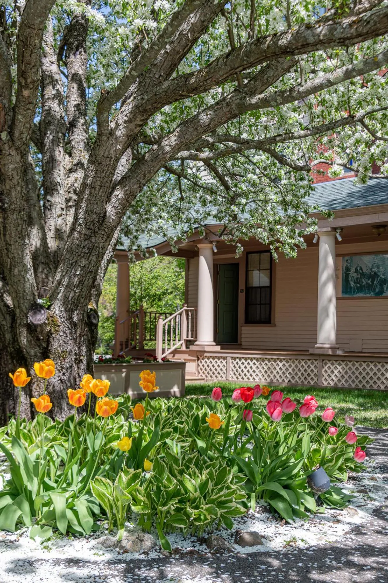 Property building in The Wentworth