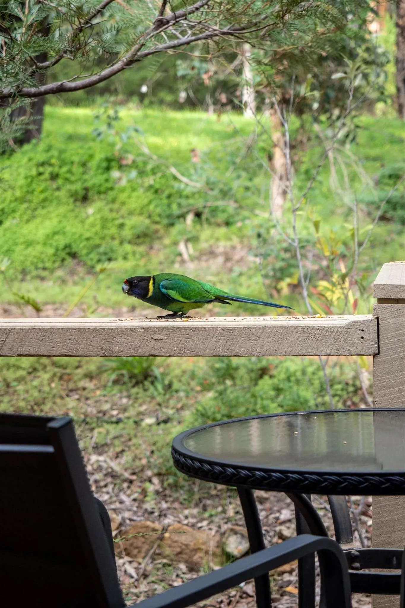 Day in Heritage Trail Lodge