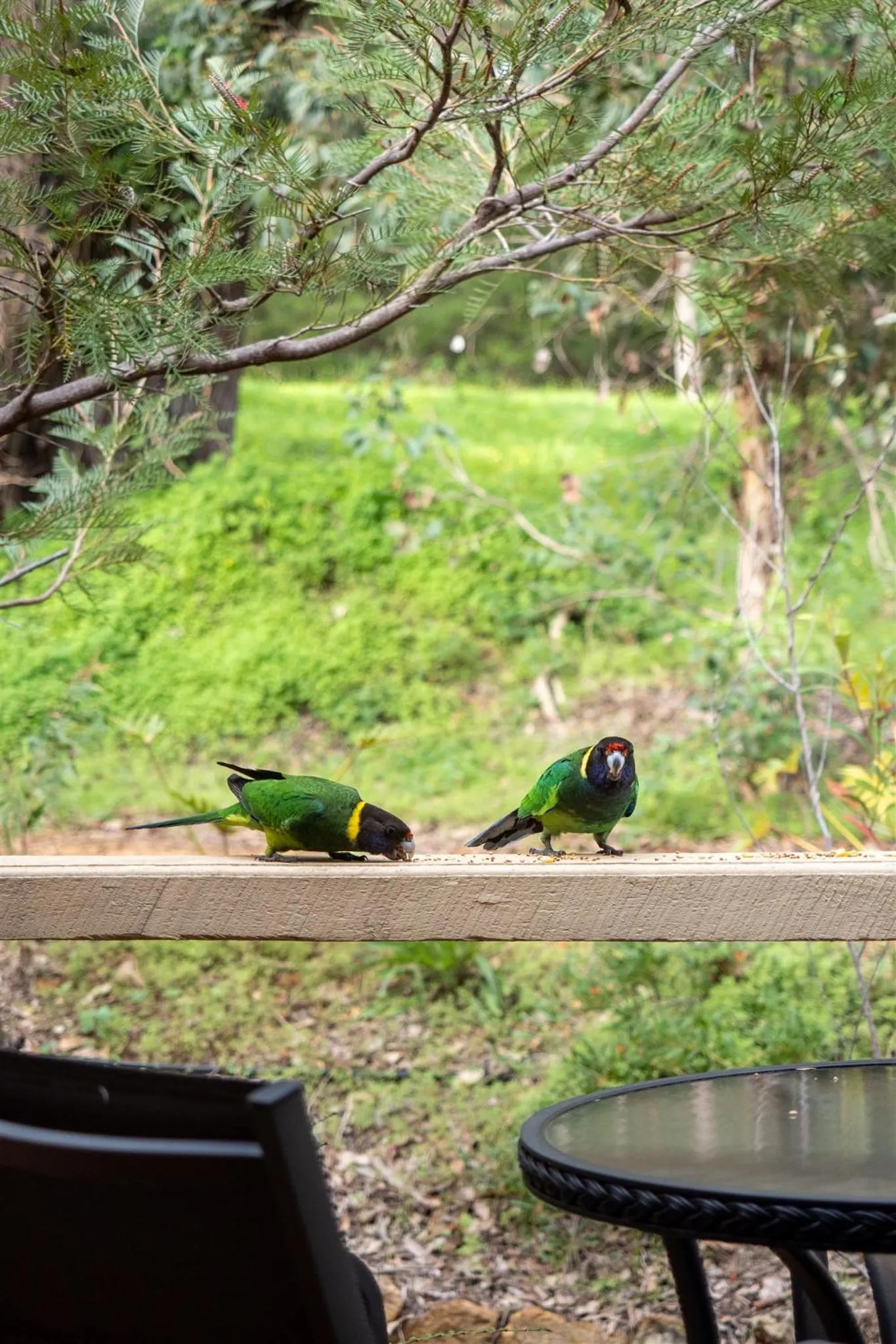 Day in Heritage Trail Lodge