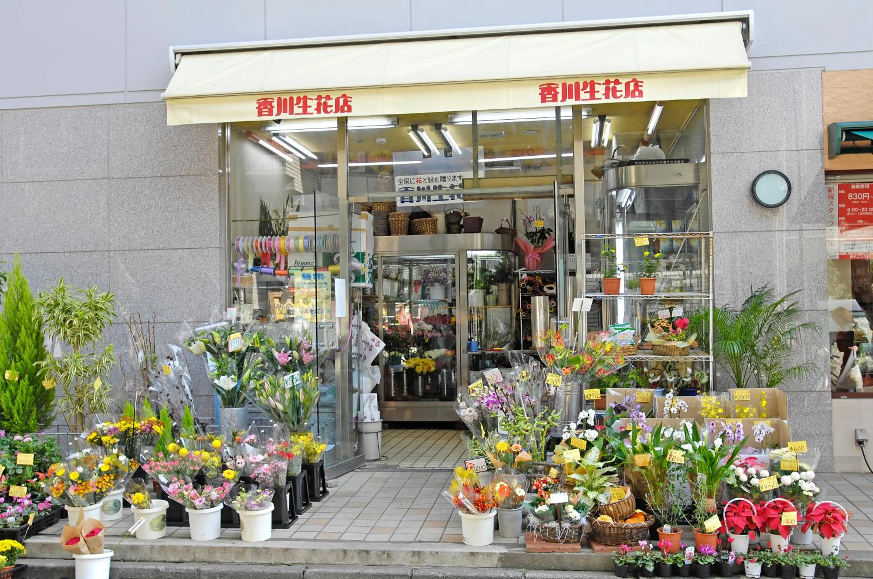 Area and facilities in Hotel Hokke Club Shonan Fujisawa